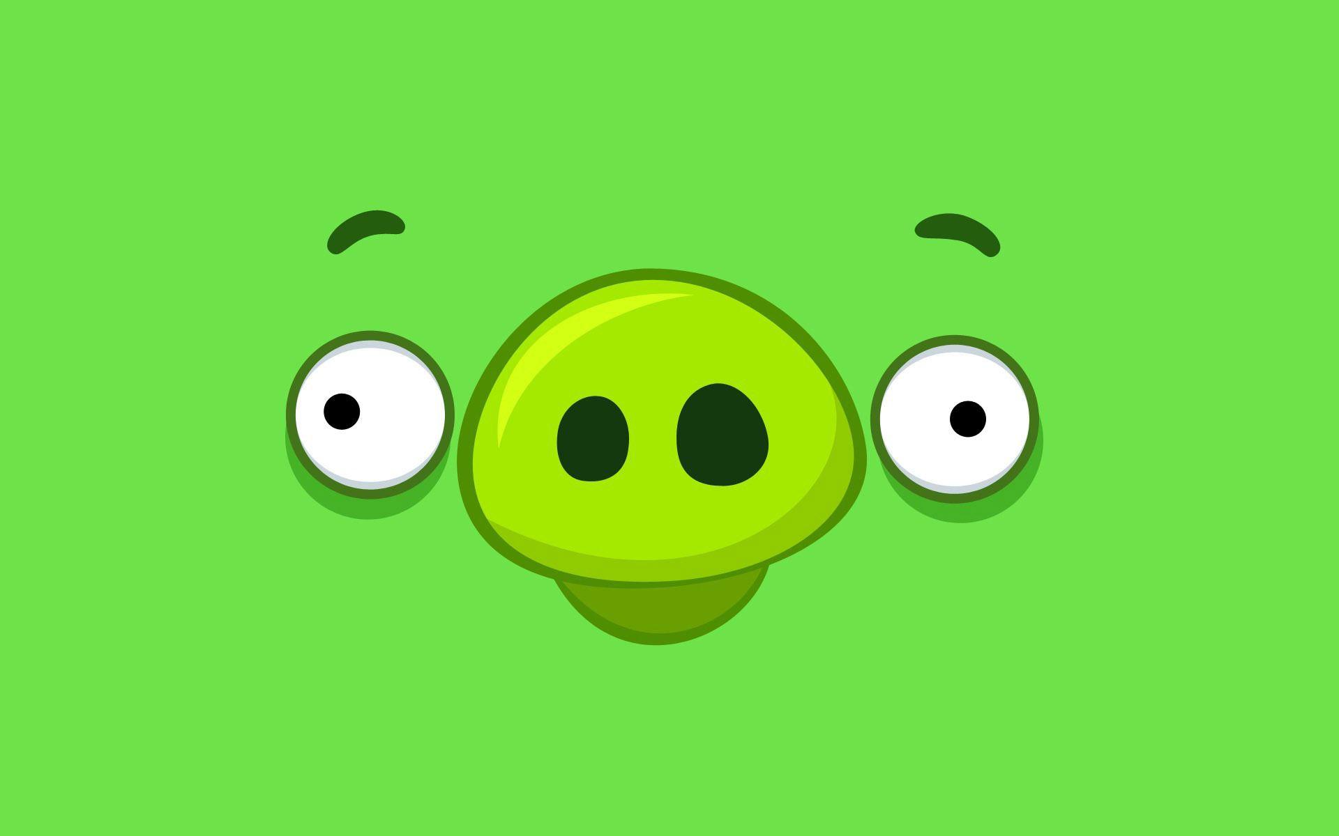 1920x1200 Free download Large Pig Angry Birds .