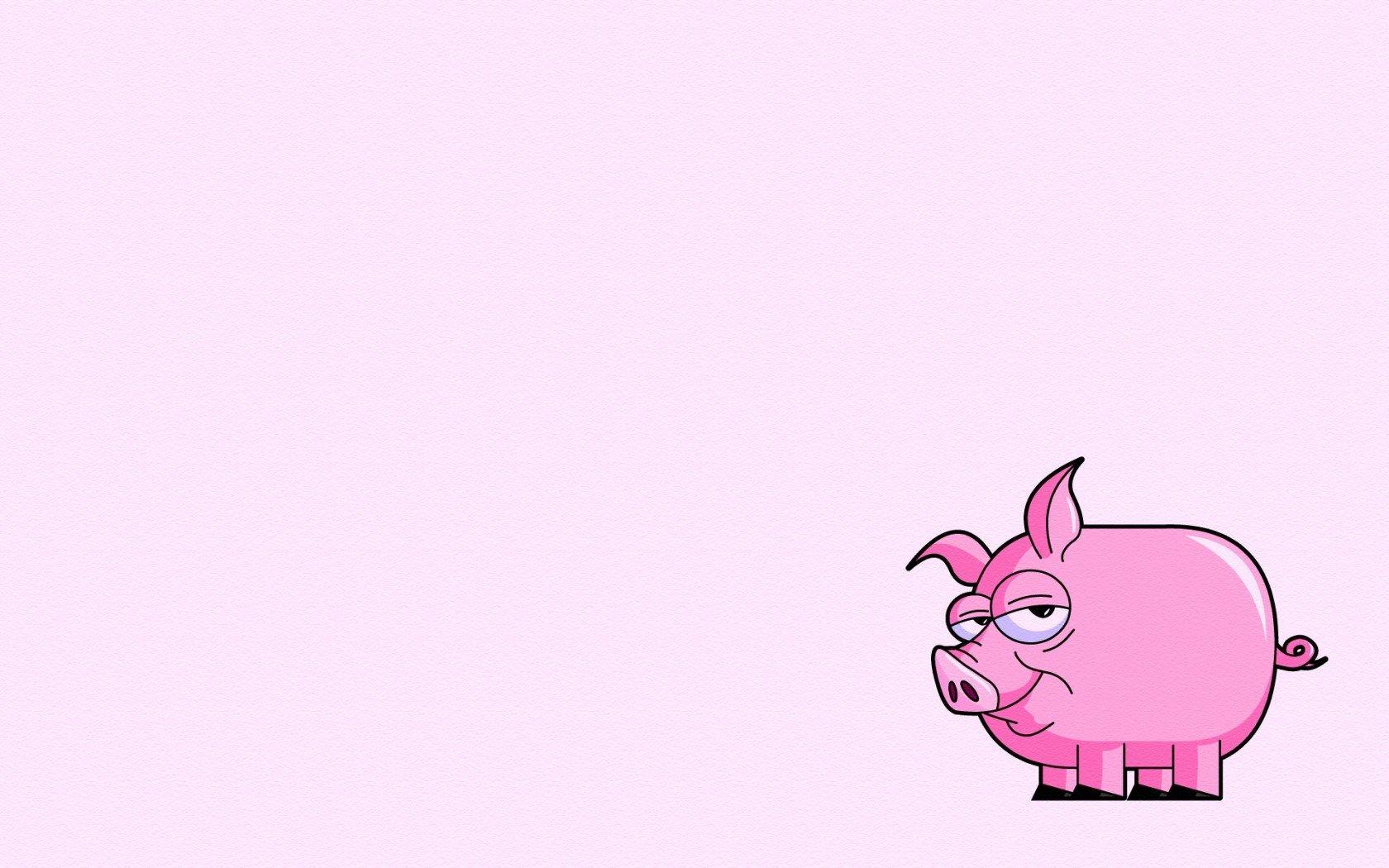1680x1050 Wallpaper Pig
