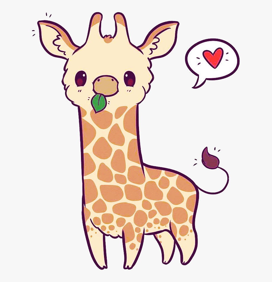 920x955 Transparent Cute Giraffe Png .
