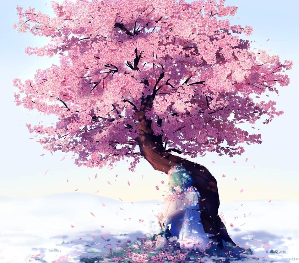 Cherry Blossoms in anime  Anime Amino
