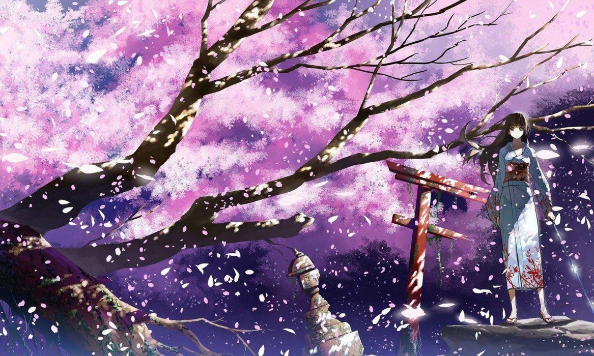 1167x700 Anime girl tree sakura beautiful long .