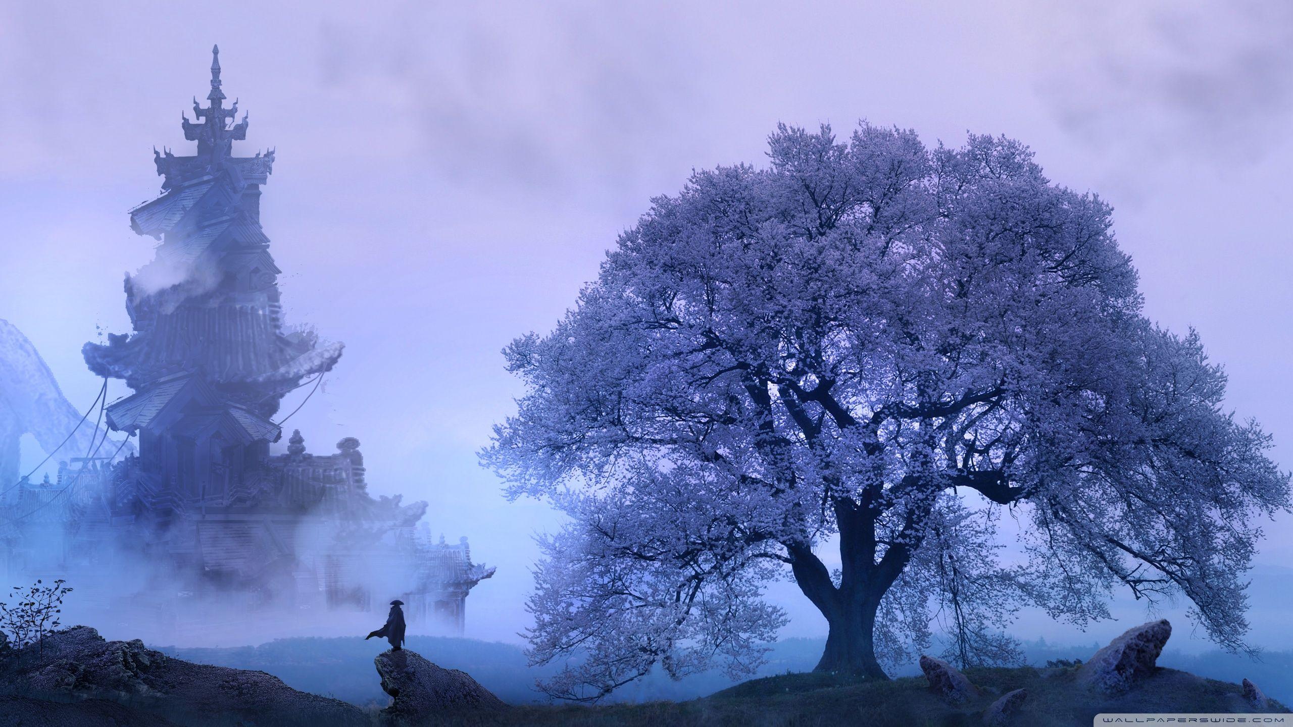 2560x1440 Fantasy Wallpaper HD .