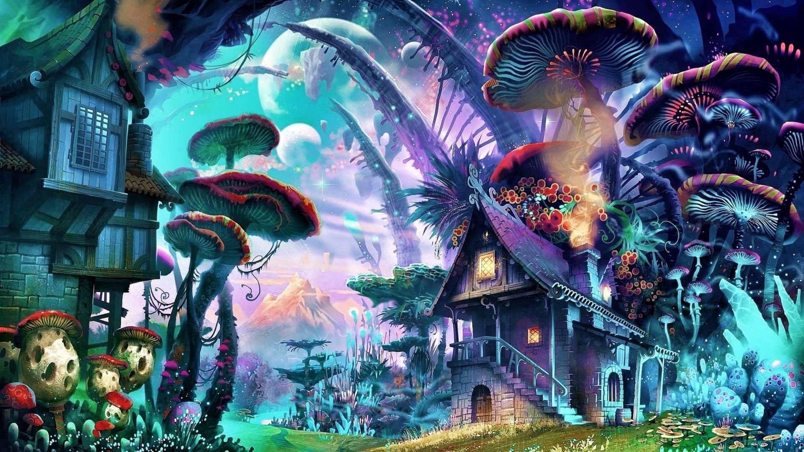 2560x1440 Fantasy wallpaper free •