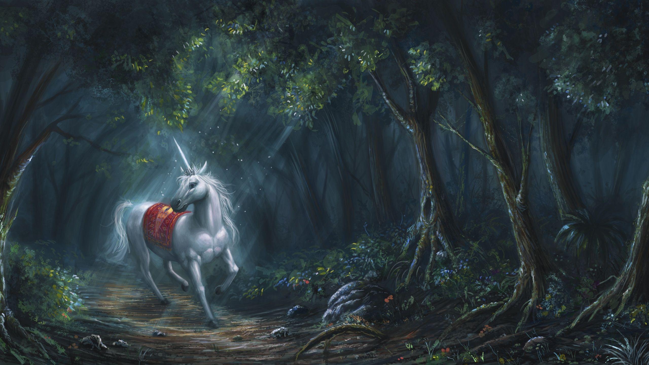 2560x1440 fantasy, horn, unicorn, white .