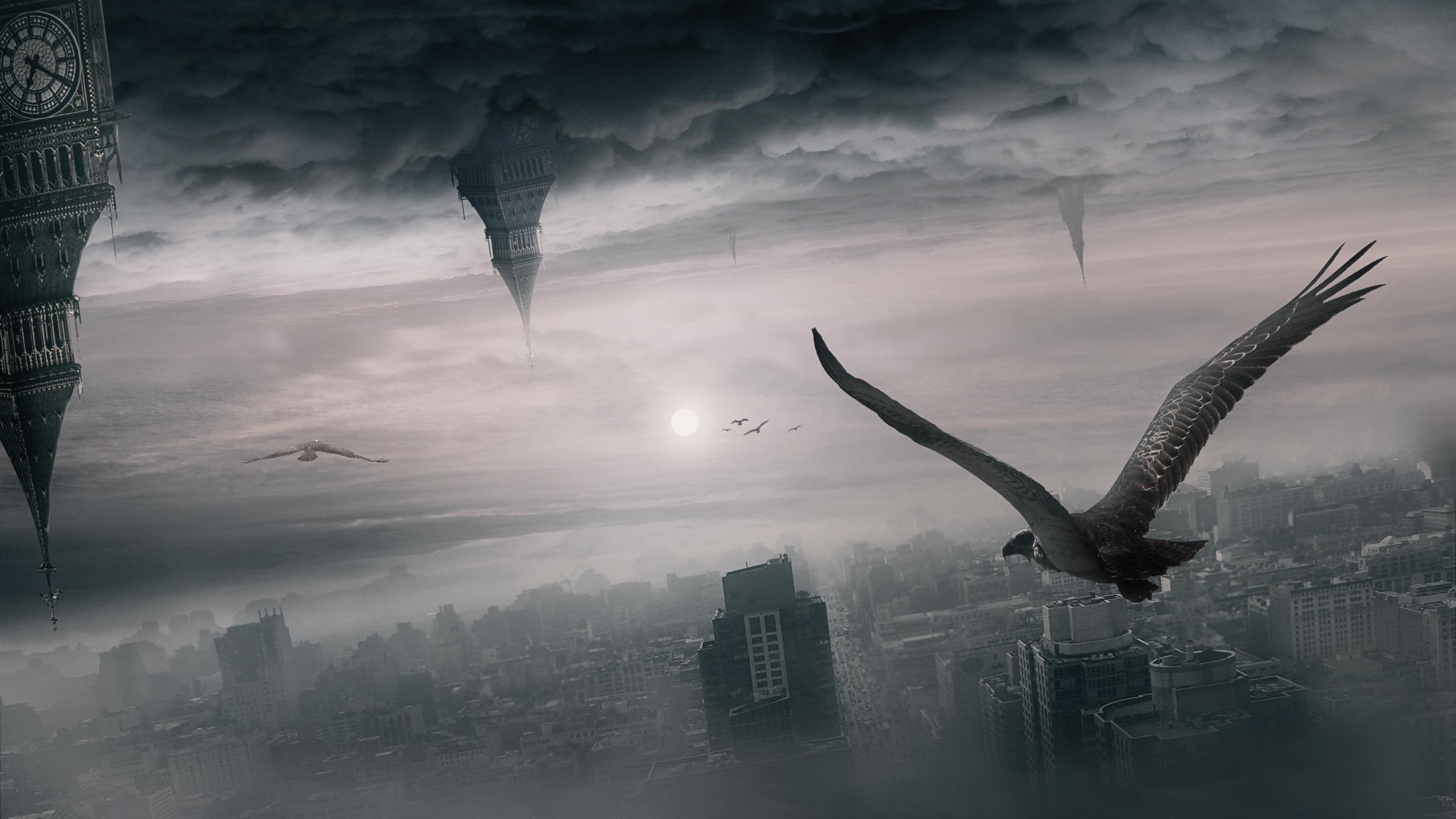 2560x1440 Bird fantasy wallpaper 2560x1440 .
