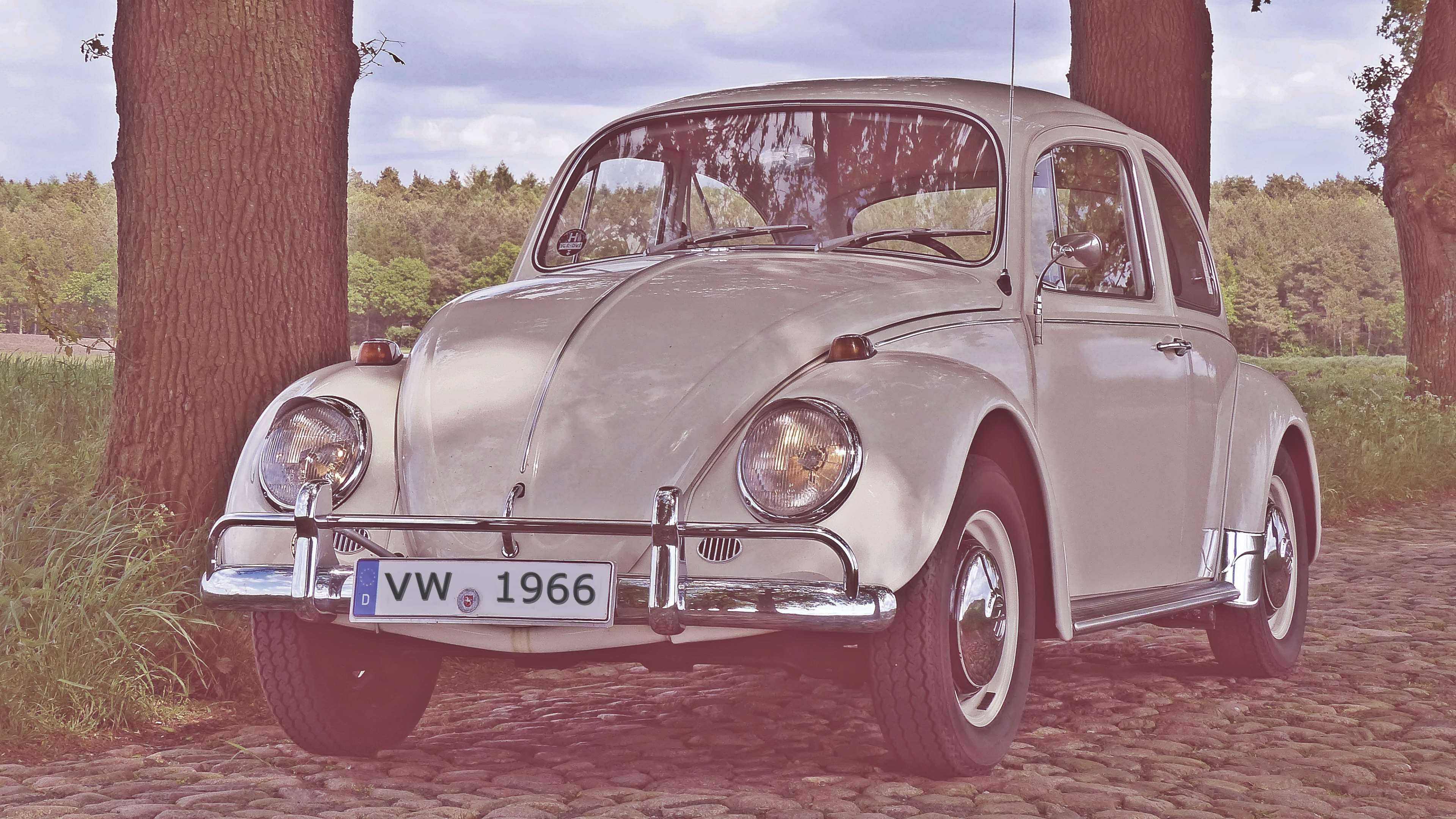 3840x2160 vw beetle HD wallpaper,