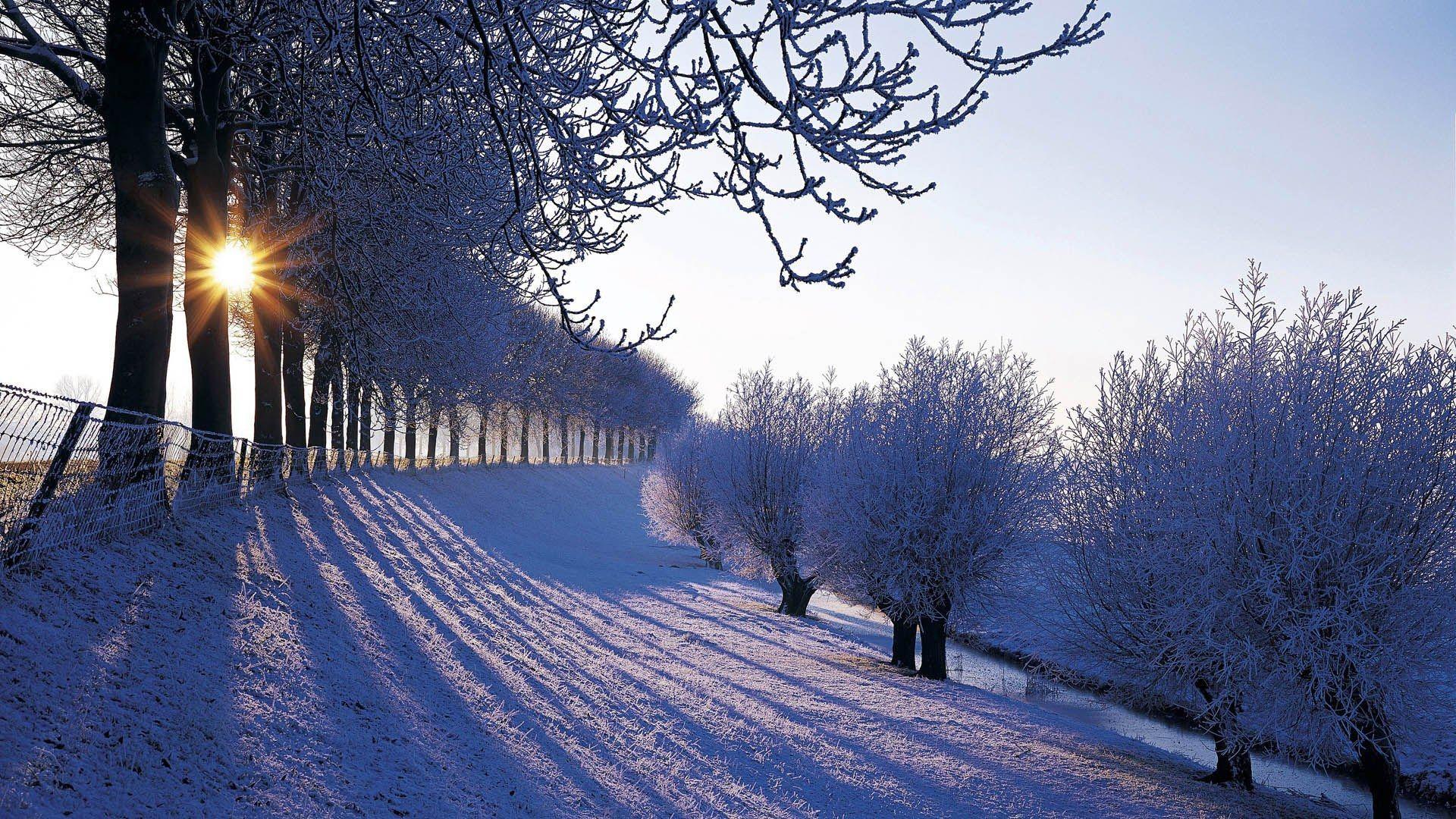 1920x1080 Winter wallpaper
