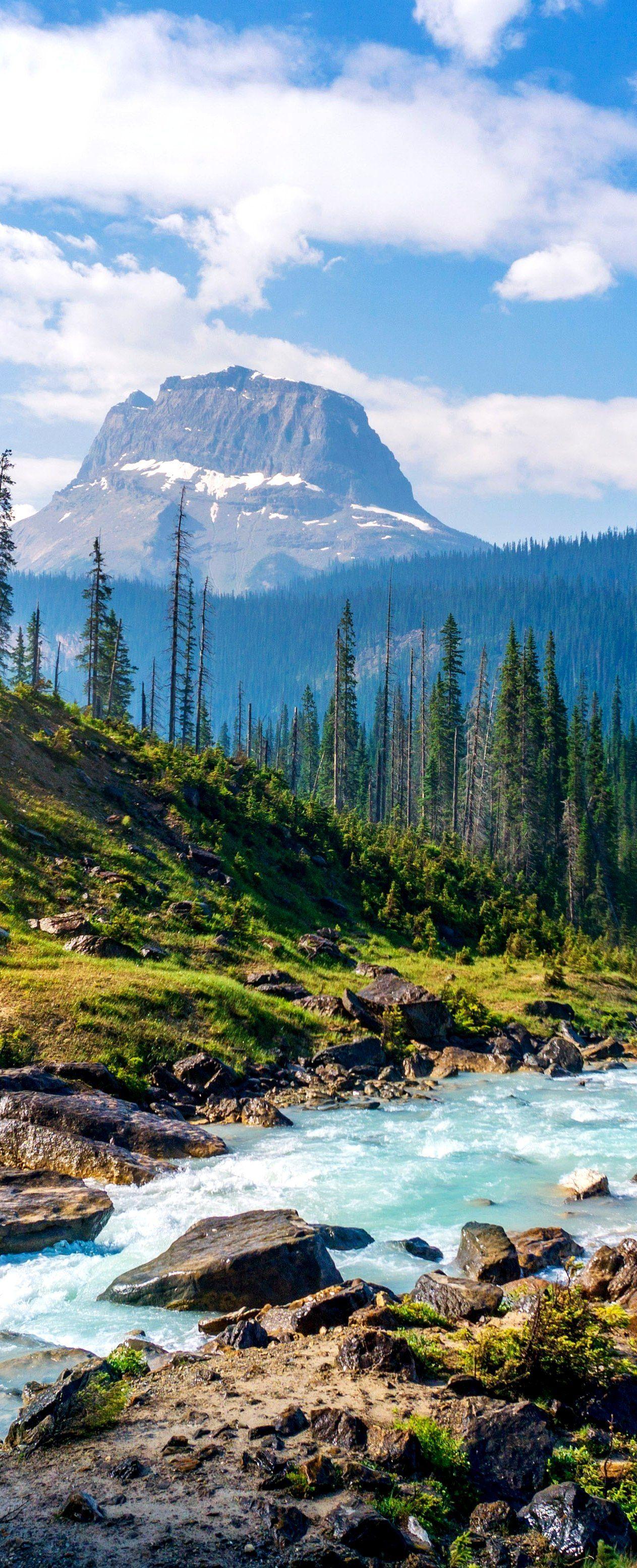 1263x3111 Nature photography .