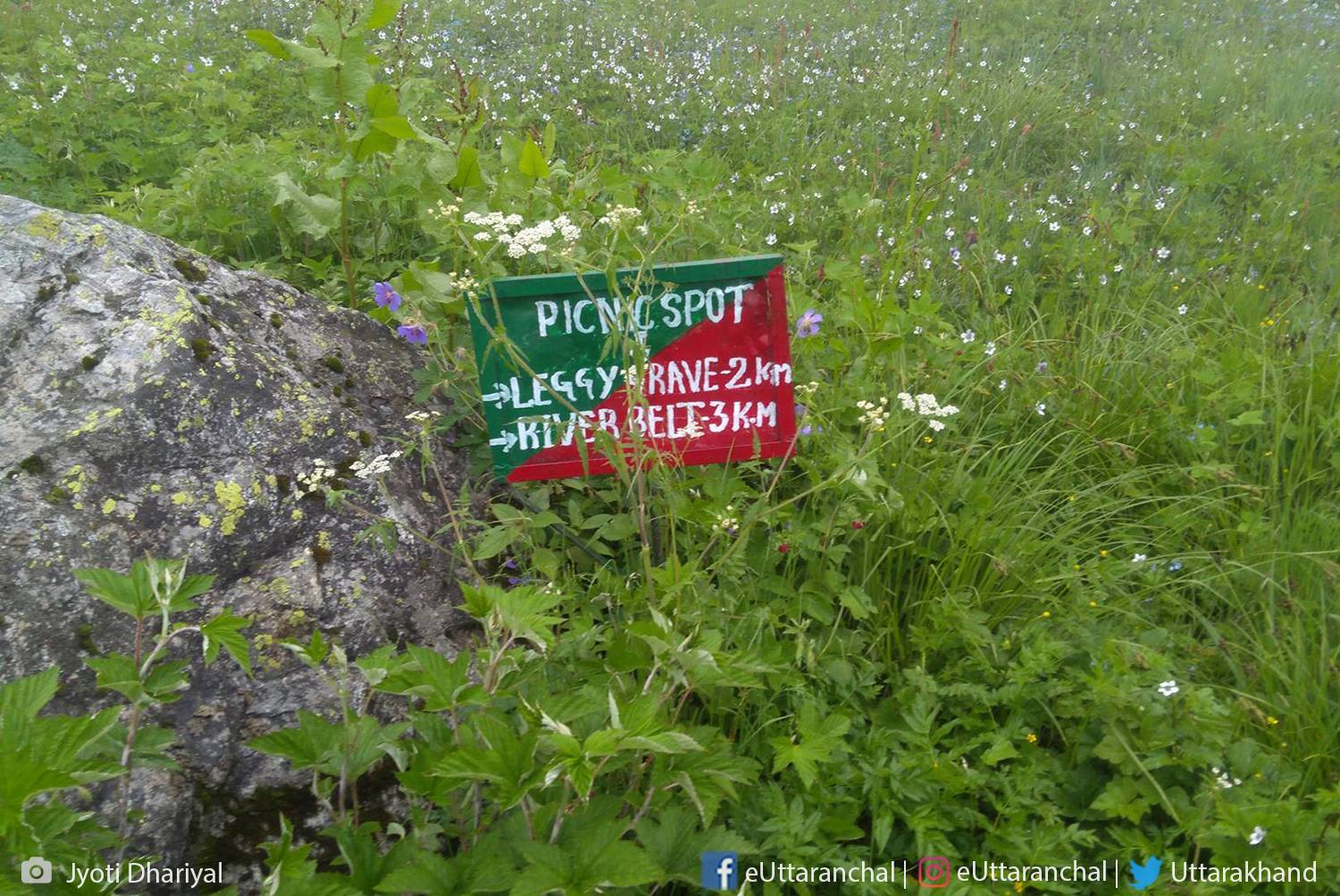 1500x1003 Valley Of Flowers National Park Photo .