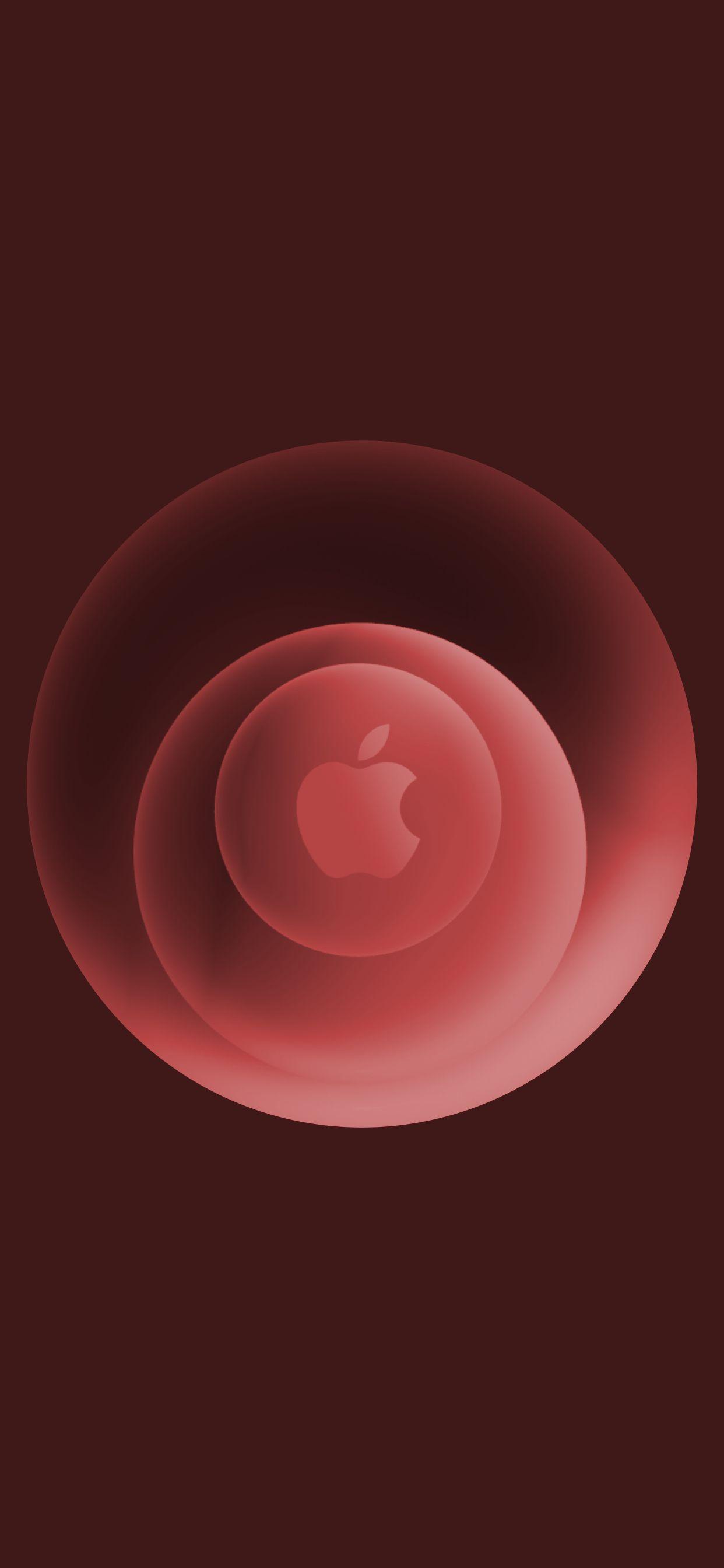 1242x2688 Apple October 13 Hi, Speed event .