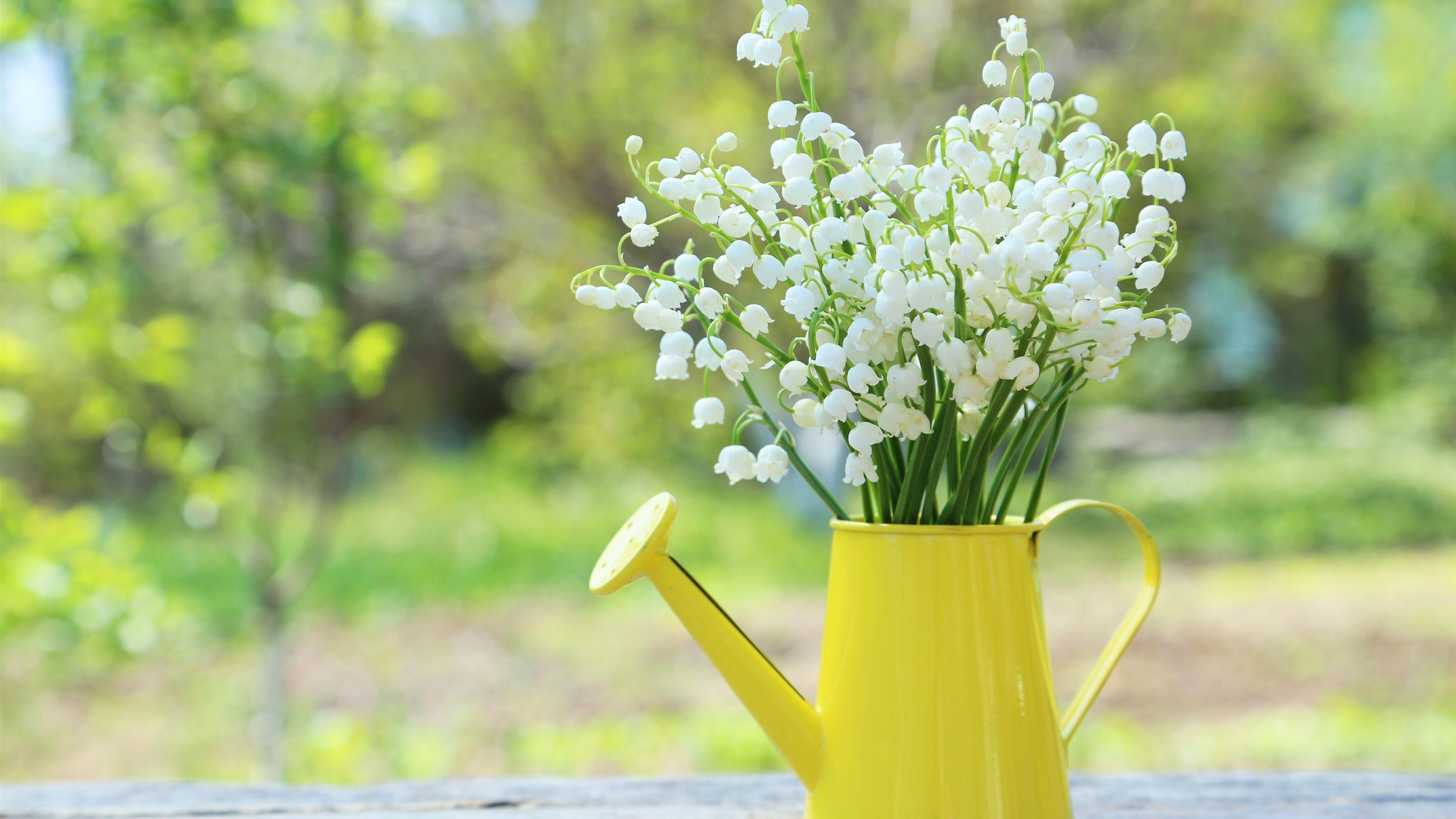 3840x2160 Valley, Spring Flowers, Kettle .