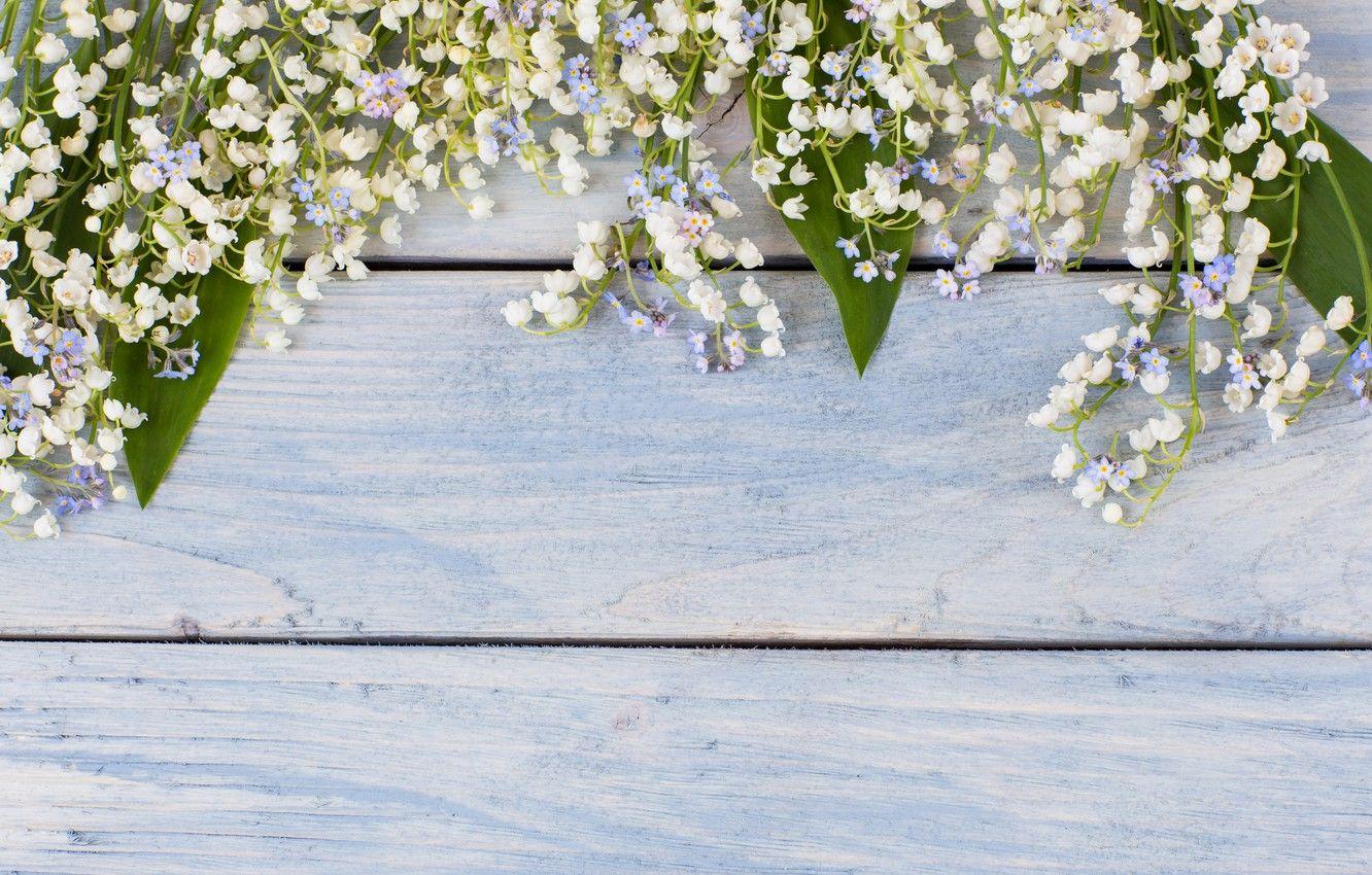 1332x850 valley, wood, flowers, spring, lily .