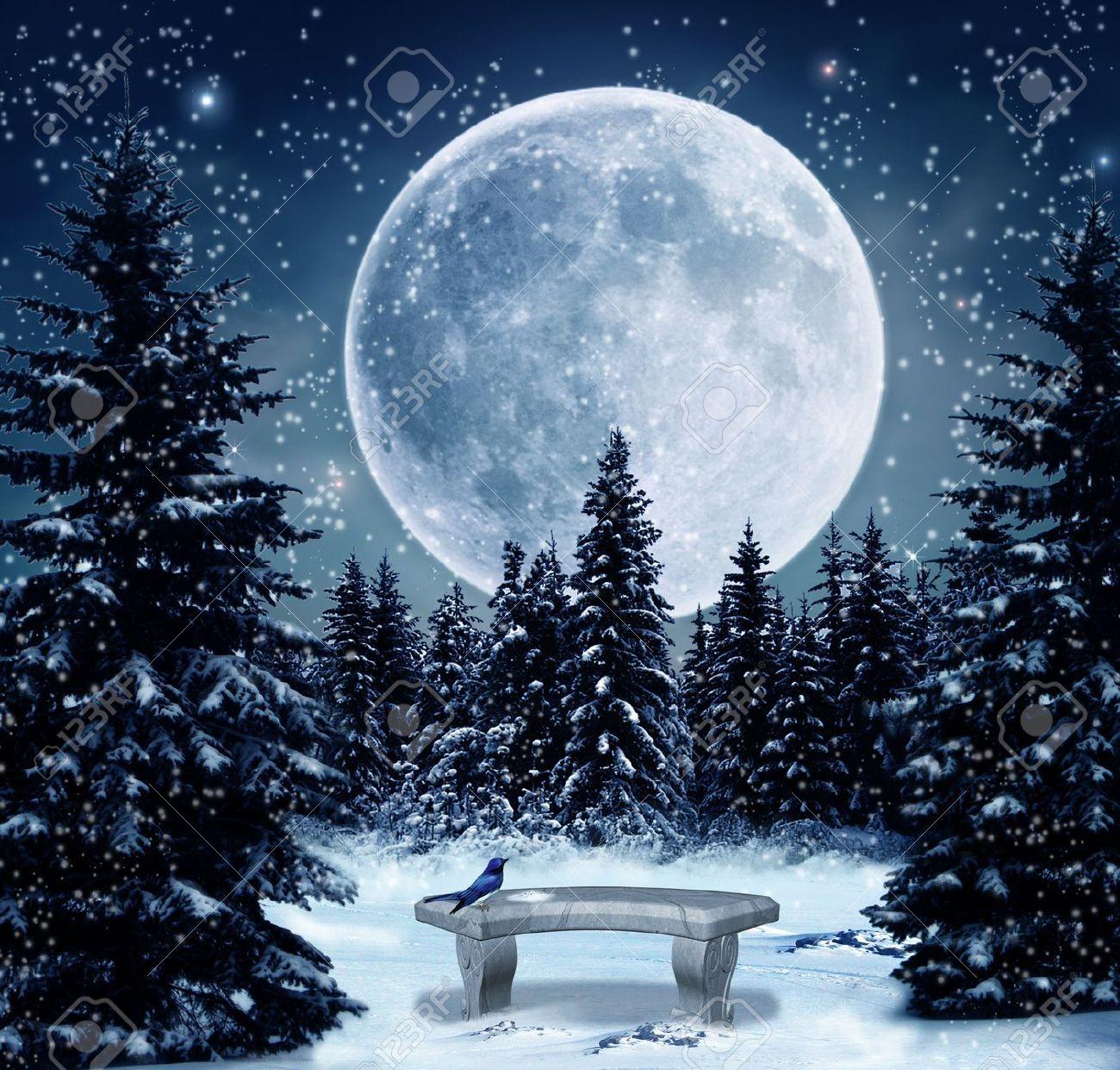 Beautiful Winter Moon Wallpapers - Top Free Beautiful Winter Moon