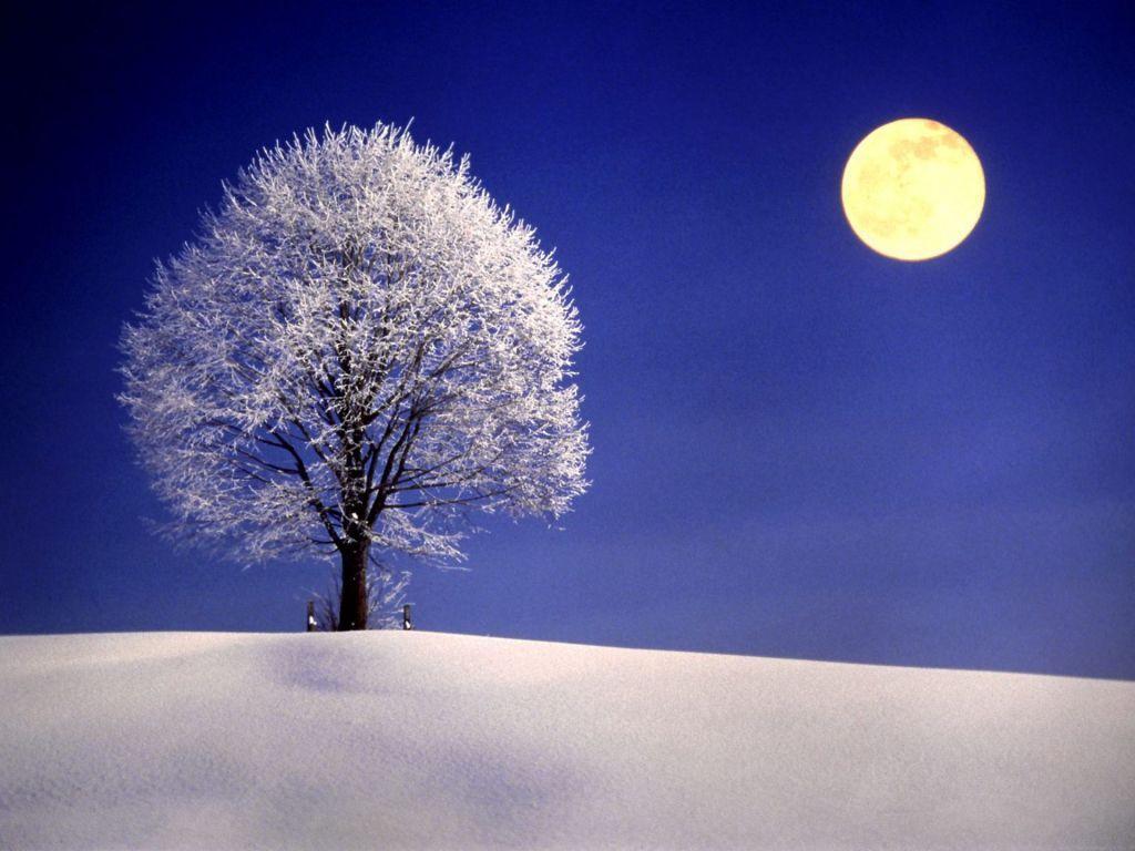 1024x768 Full Moon Winter Night Wallpaper .