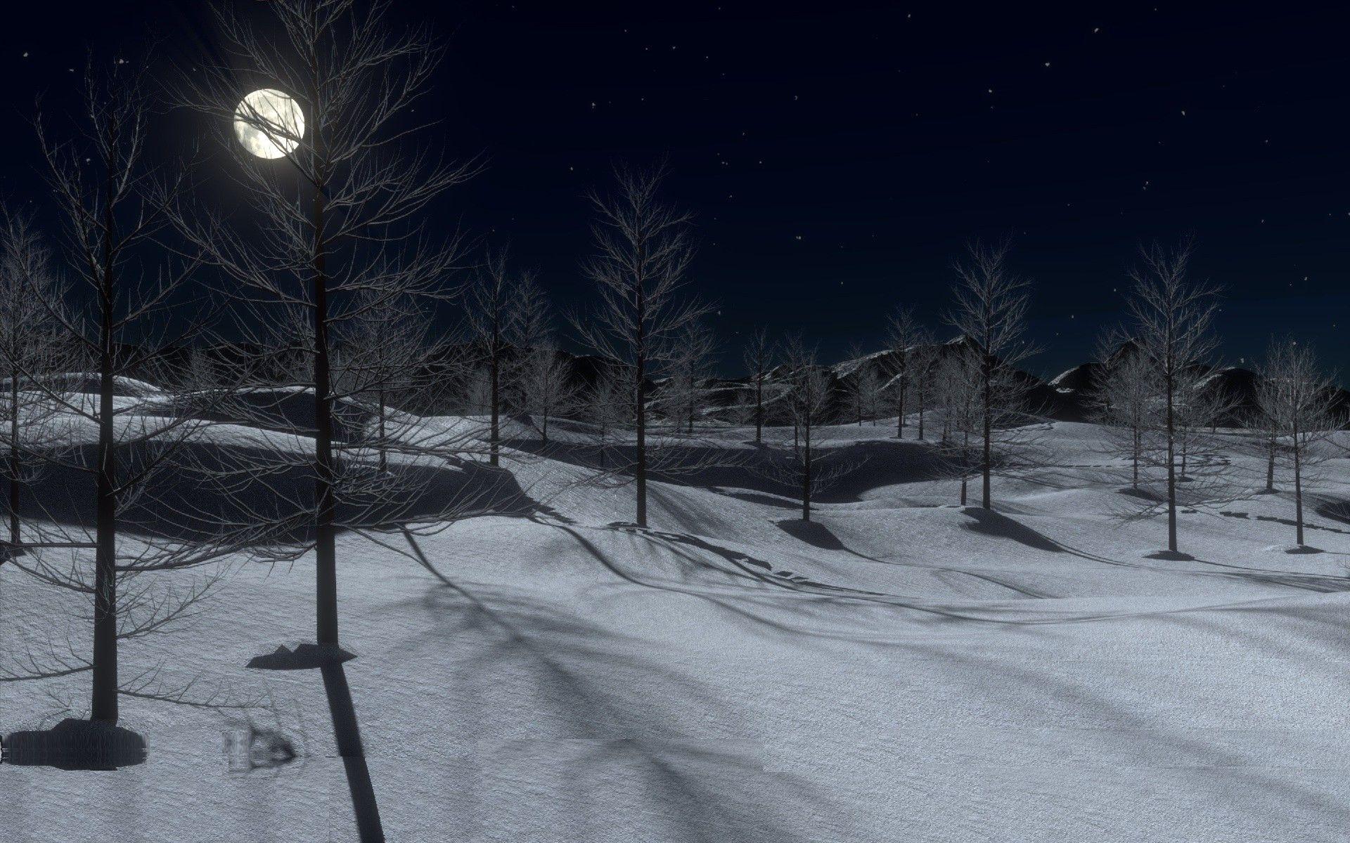 1920x1200 Beautiful winter midnight, snow, trees, full moon, forest wallpaper download. Wallpaper, picture, photo