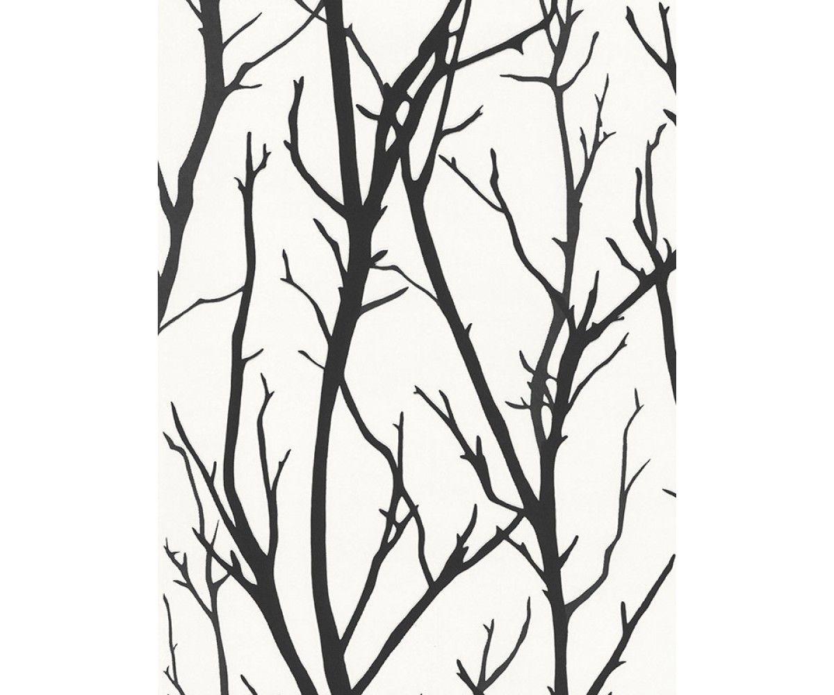 Black and White Contemporary Wallpapers Top Free Black and White