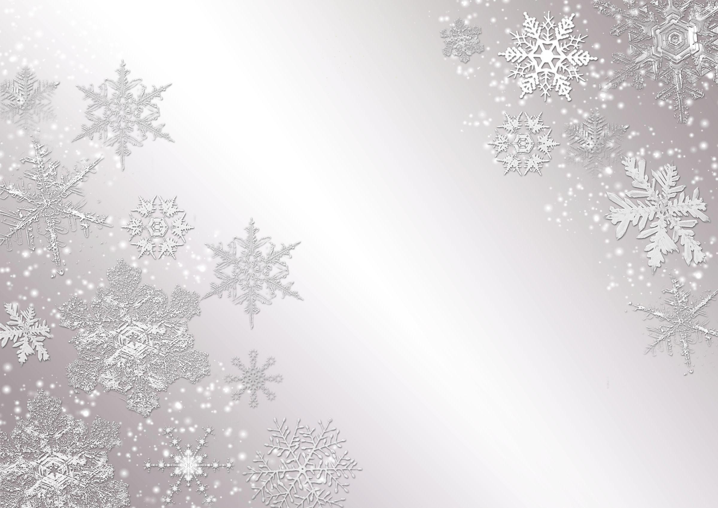 2400x1700 Beautiful snowflakes on a gray wall .wallpapermania.eu