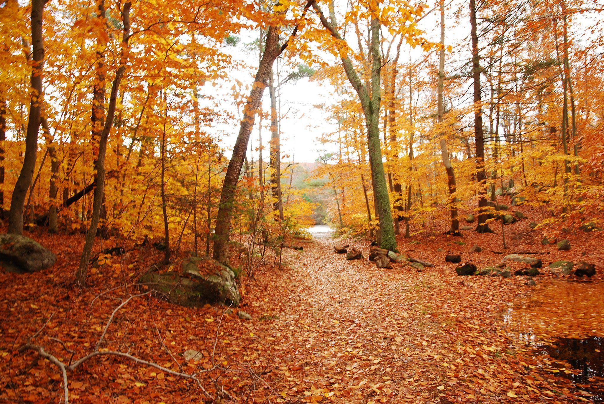 Minnesota Autumn Wallpapers - Top Free Minnesota Autumn Backgrounds