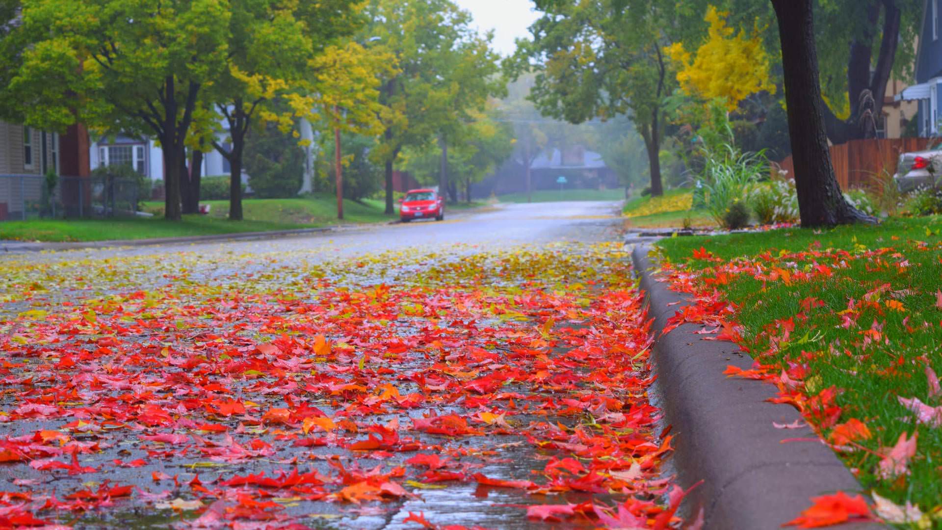 1920x1080 Autumn Rain Wallpaper HD