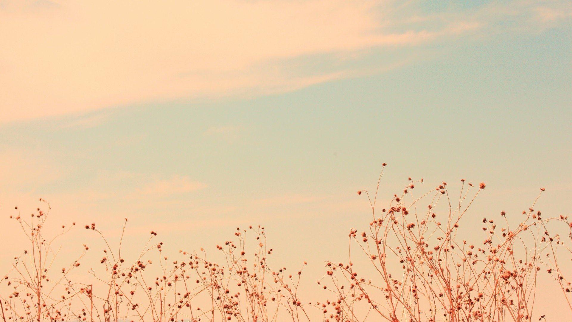 1920x1080 Pastel Aesthetic Wallpaper For Desktop .novocom.top