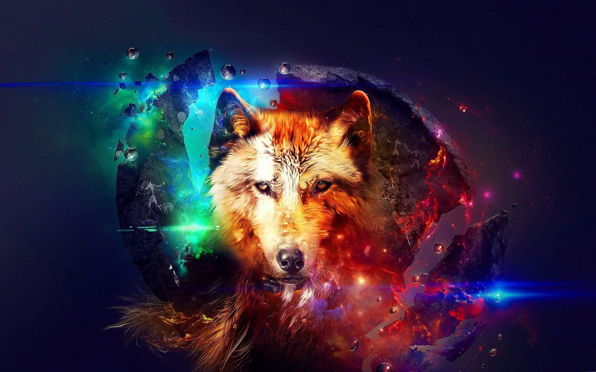 Cool Abstract Wolf Wallpapers Top Free Cool Abstract Wolf Backgrounds