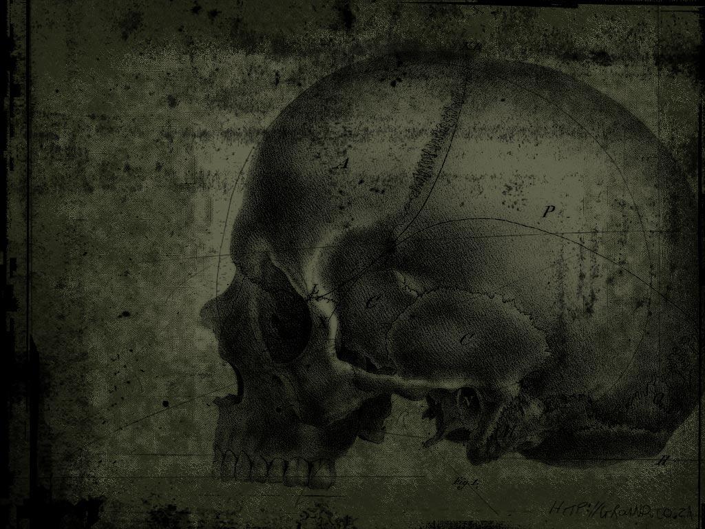 1024x768 Evil Skull