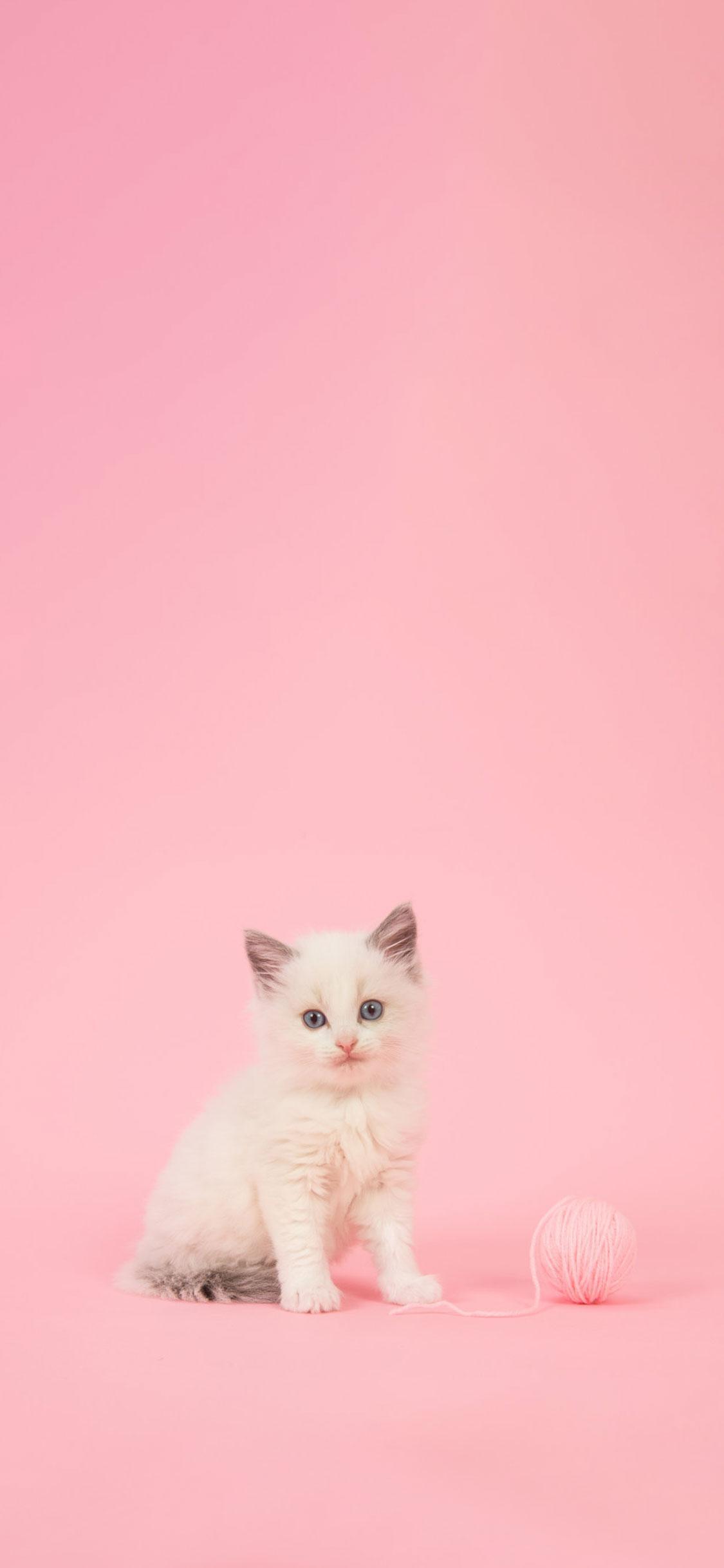 25 Cute Pink Wallpapers For iPhone That Youll Love