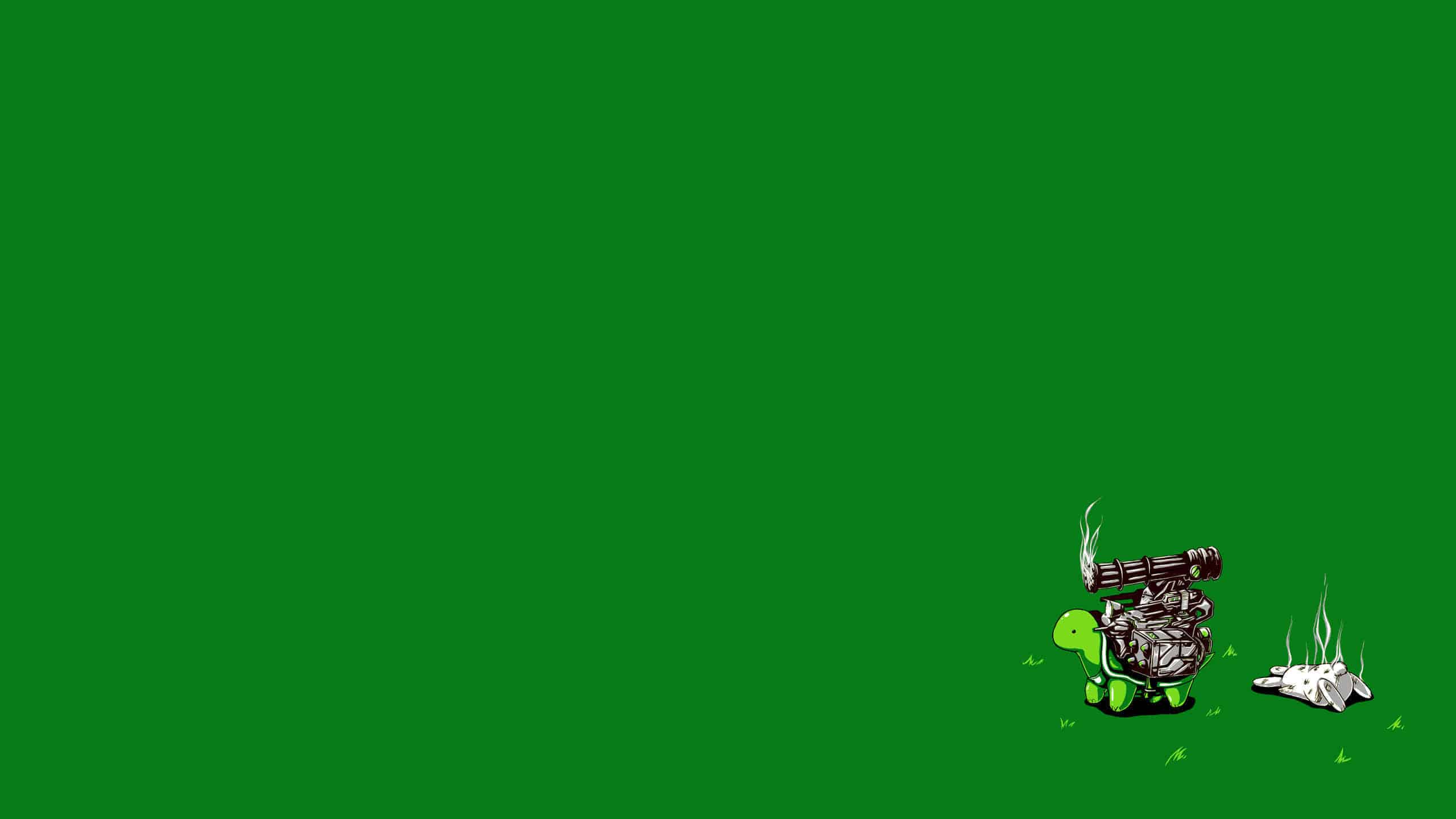 2560x1440 Turtle Machine Gun More Dakka Meme WQHD .