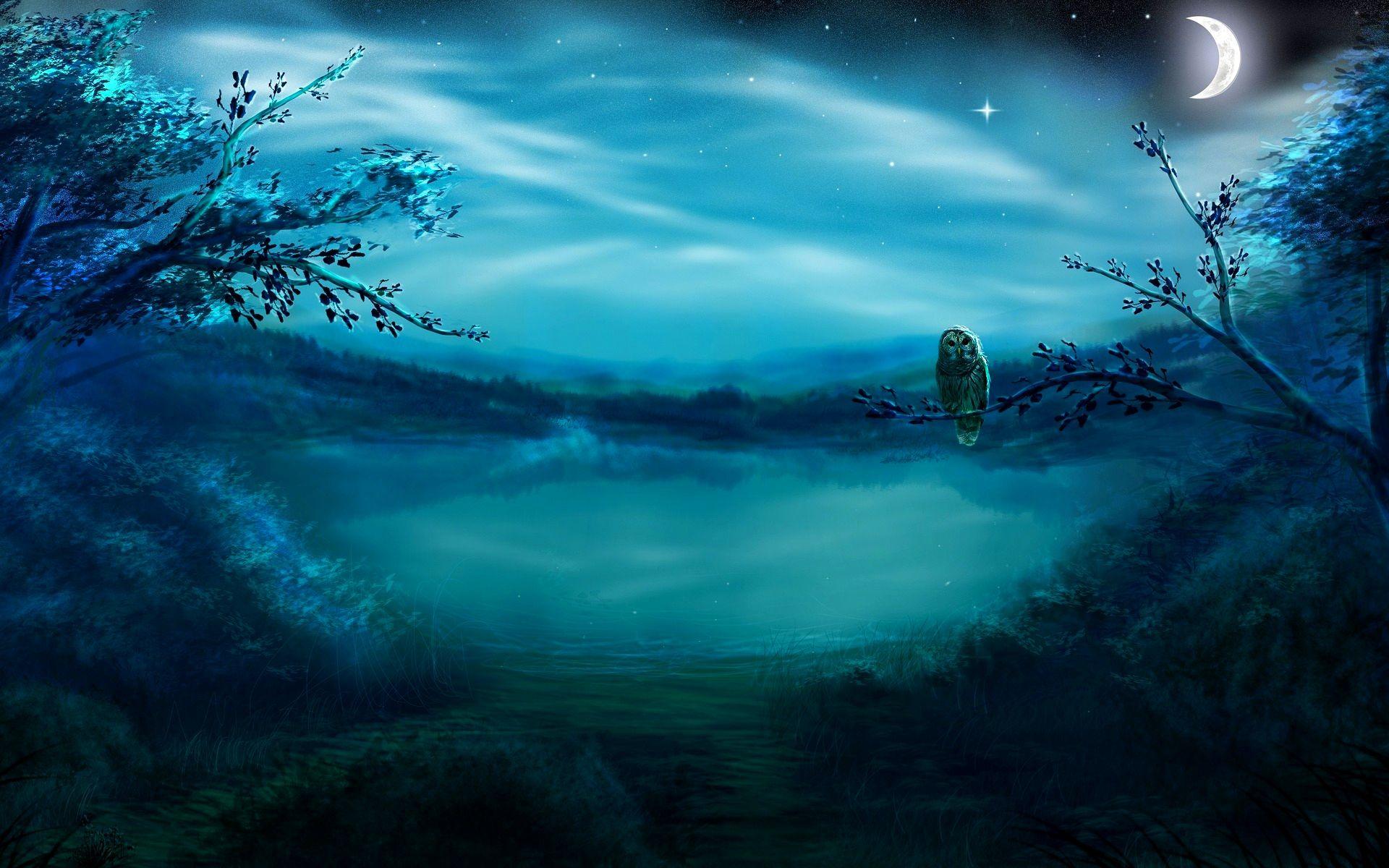 1920x1200 Beautiful Wallpaper Night