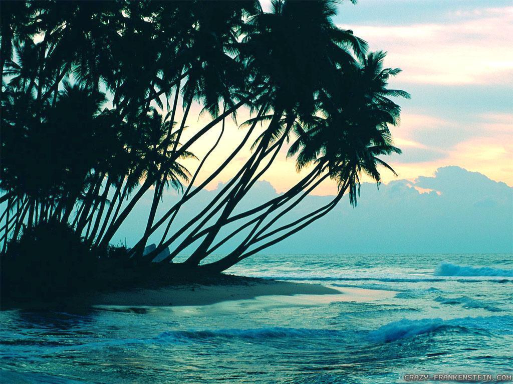 1024x768 Peaceful Wallpaper for Android .