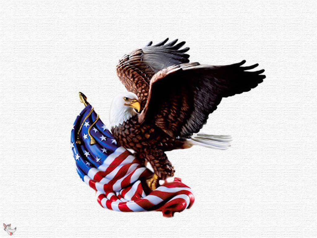 1024x768 ngày 4 tháng 7 Eagle