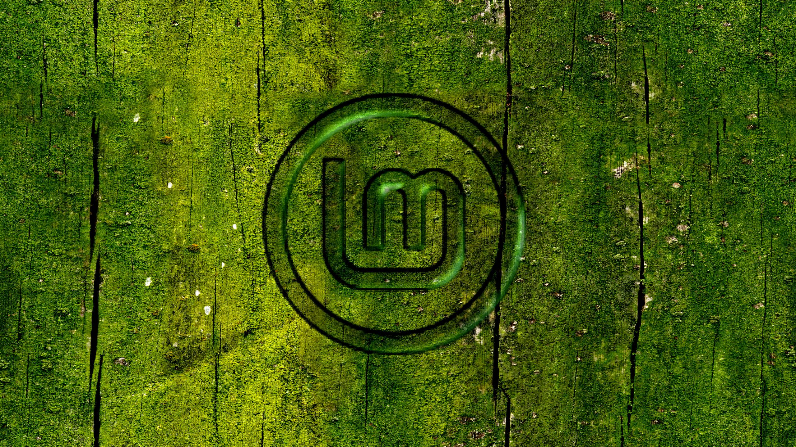 2560x1440 Linux Mint Debian Edition Wallpaper