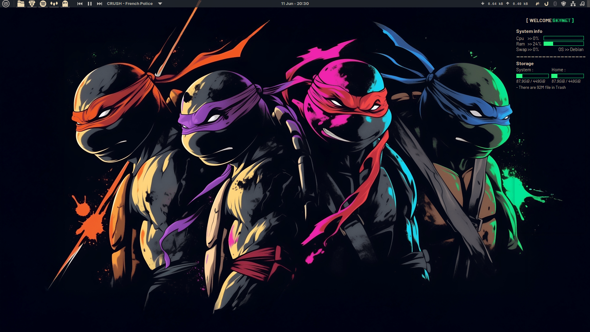 1920x1080 TMNT rice for LMDE 7