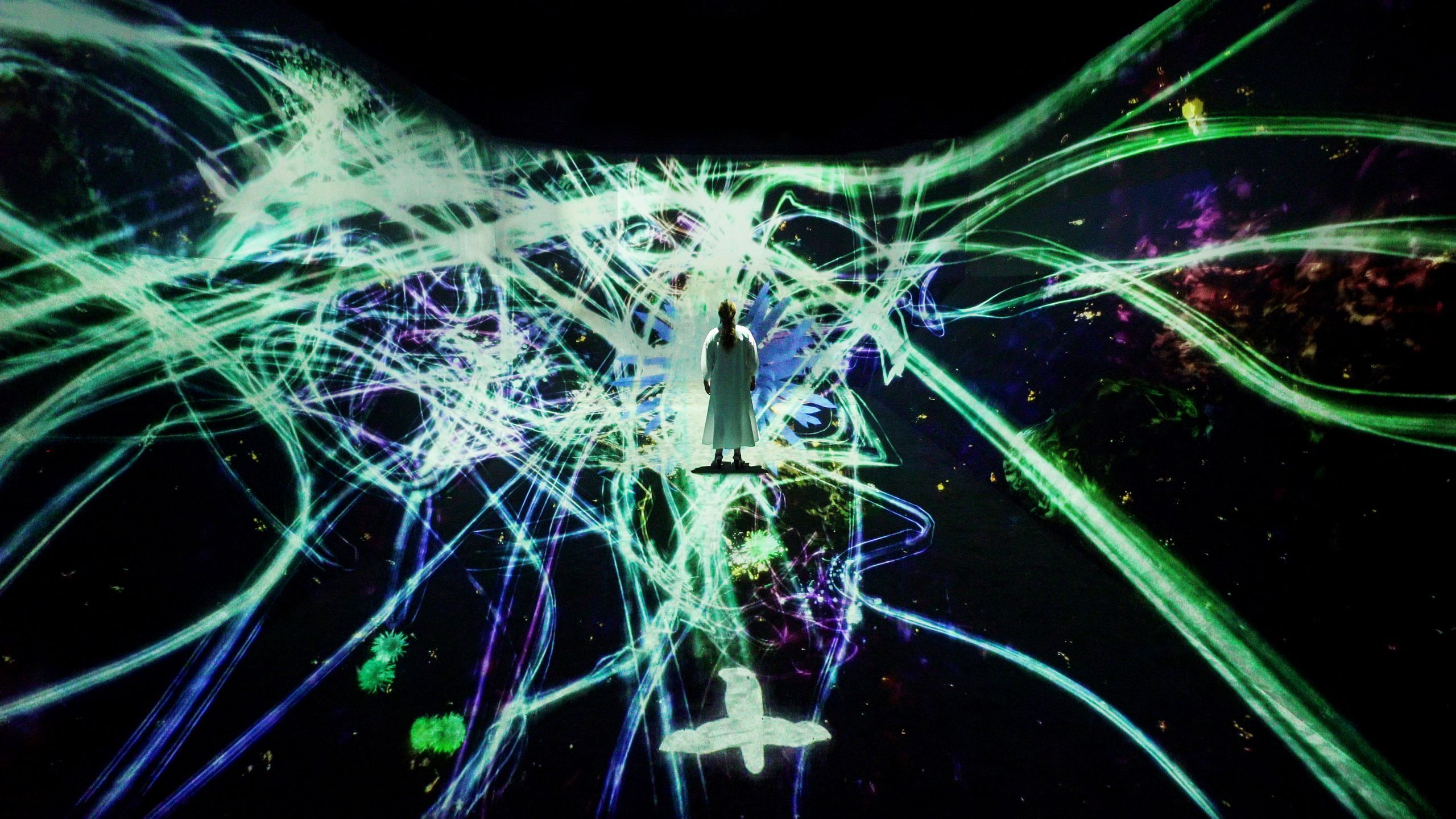 2560x1440 The Rise of “Immersive” Art. The New Yorker