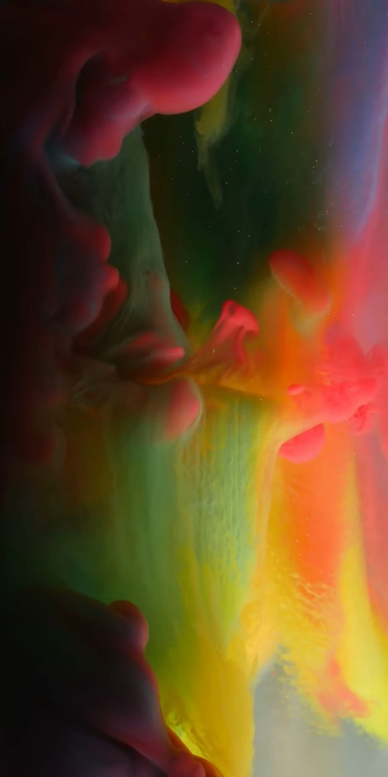 800x1600 HD immersive wallpaper