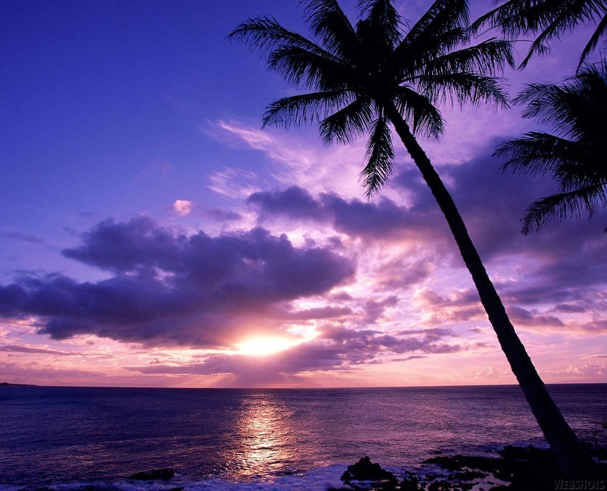 1199x970 Purple Beach Sunset Wallpaper