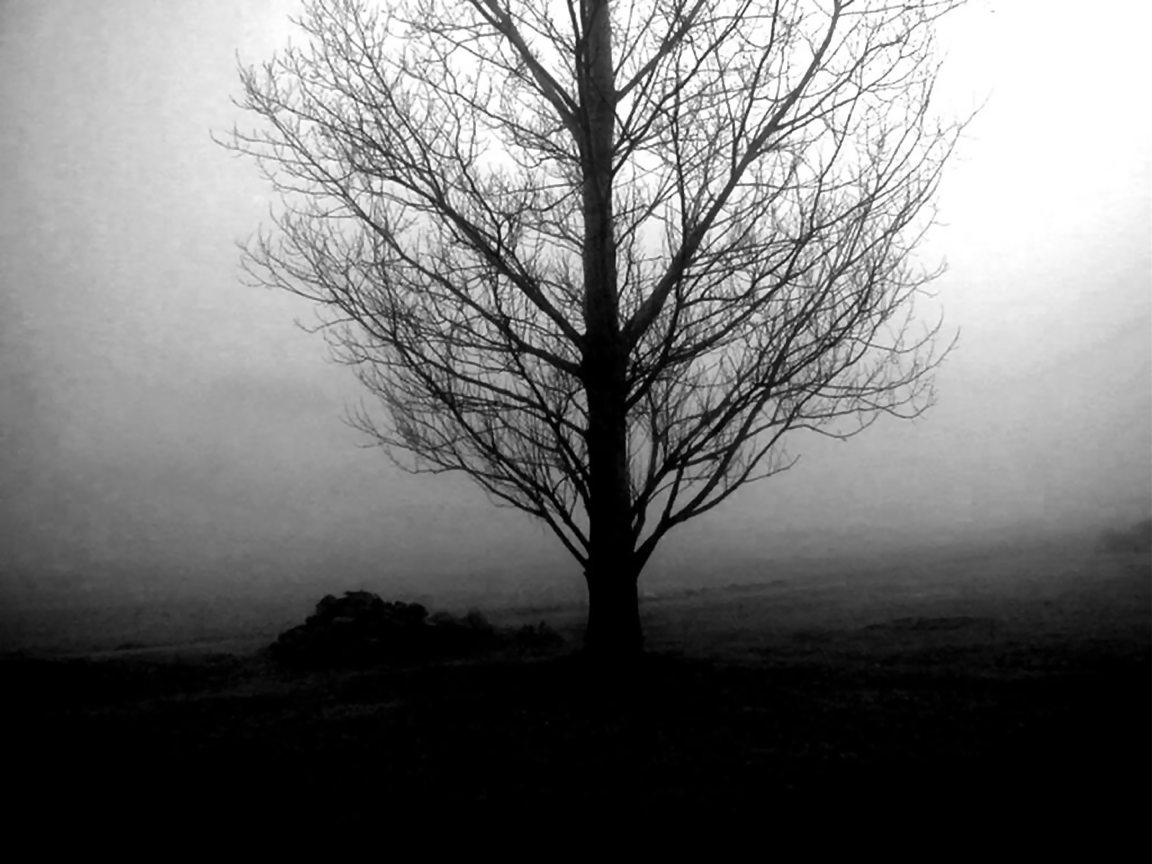 1152x864 Cool Gothic Wallpaper
