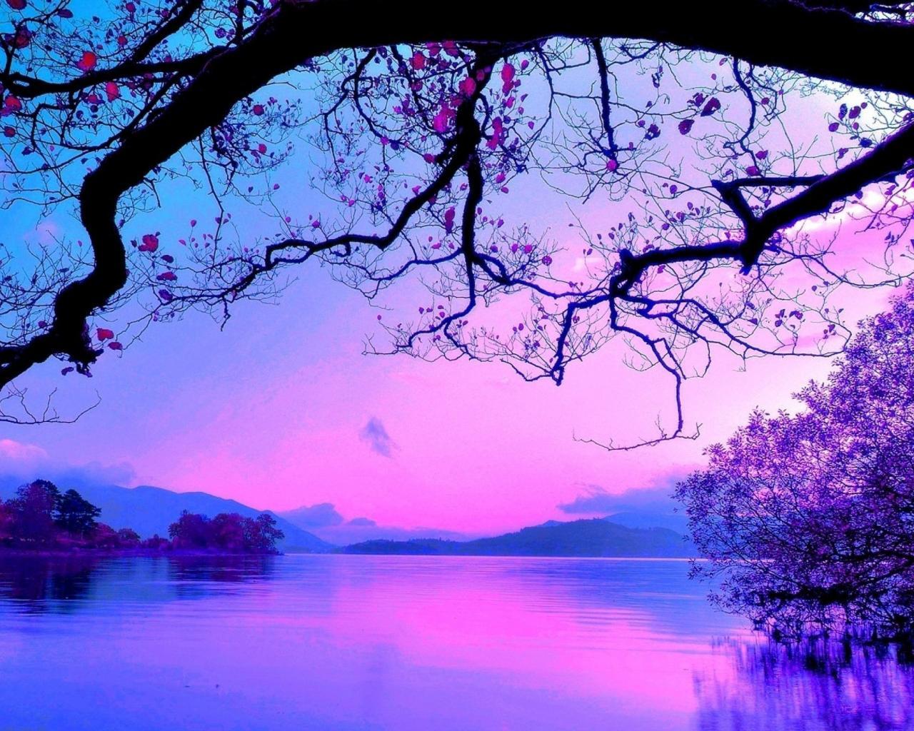 Purple Beach Sunset Desktop Wallpapers - Top Free Purple Beach Sunset