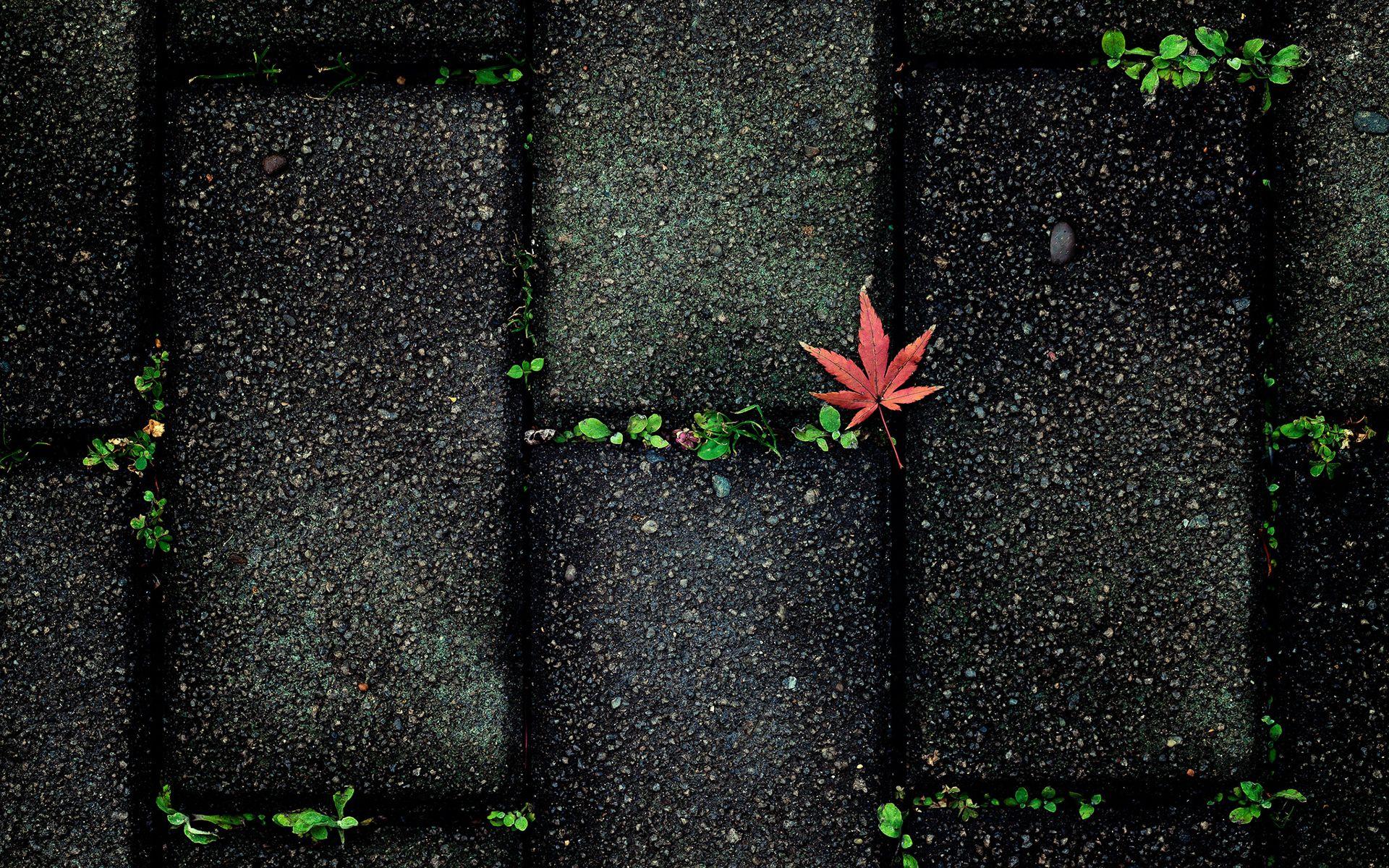 1920x1200 Contrast Wallpaper on .
