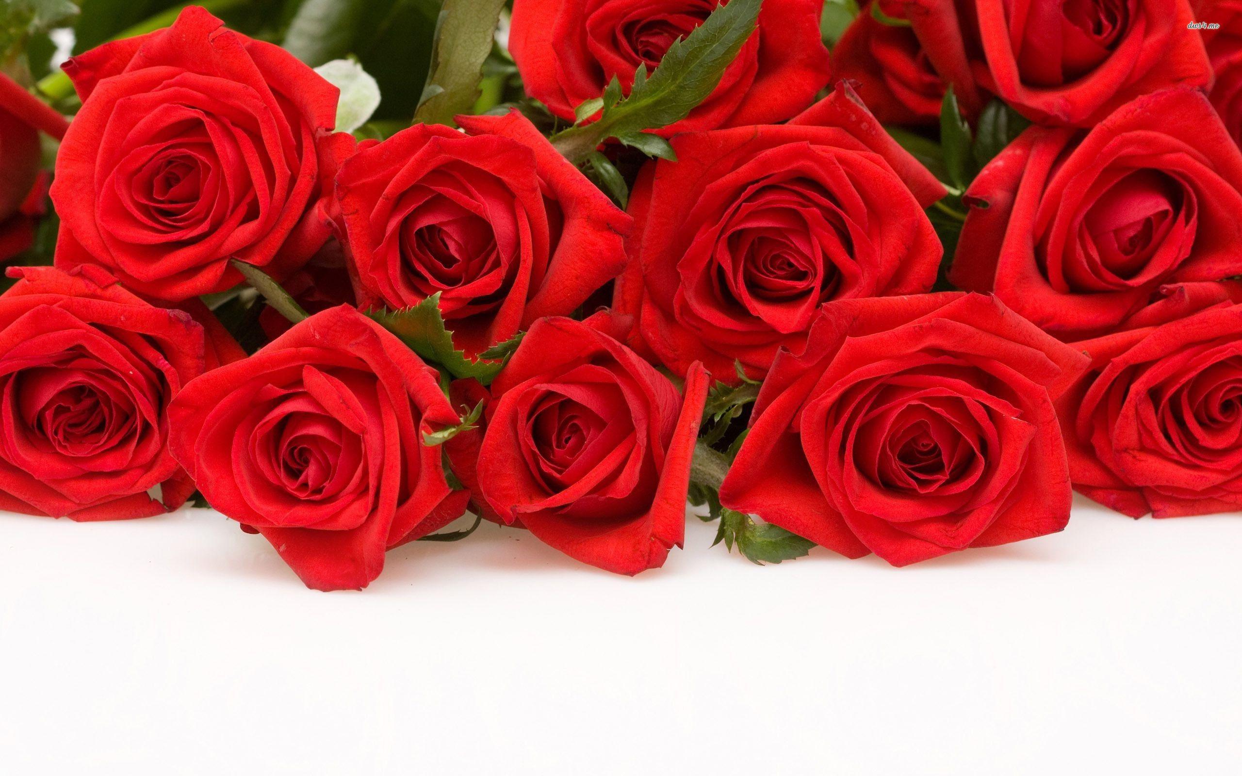 Red Rose Bouquet Wallpapers - Top Free Red Rose Bouquet Backgrounds