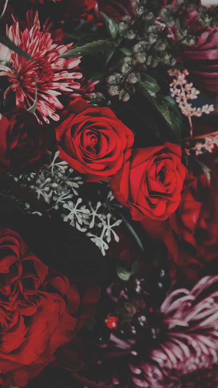 736x1308 Red Rose Wallpaper Pinterestredrosesimage.