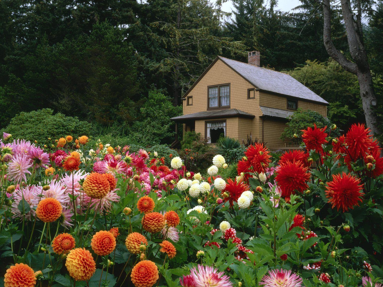 1600x1200 Webshots Wallpaper Flower 10387 .