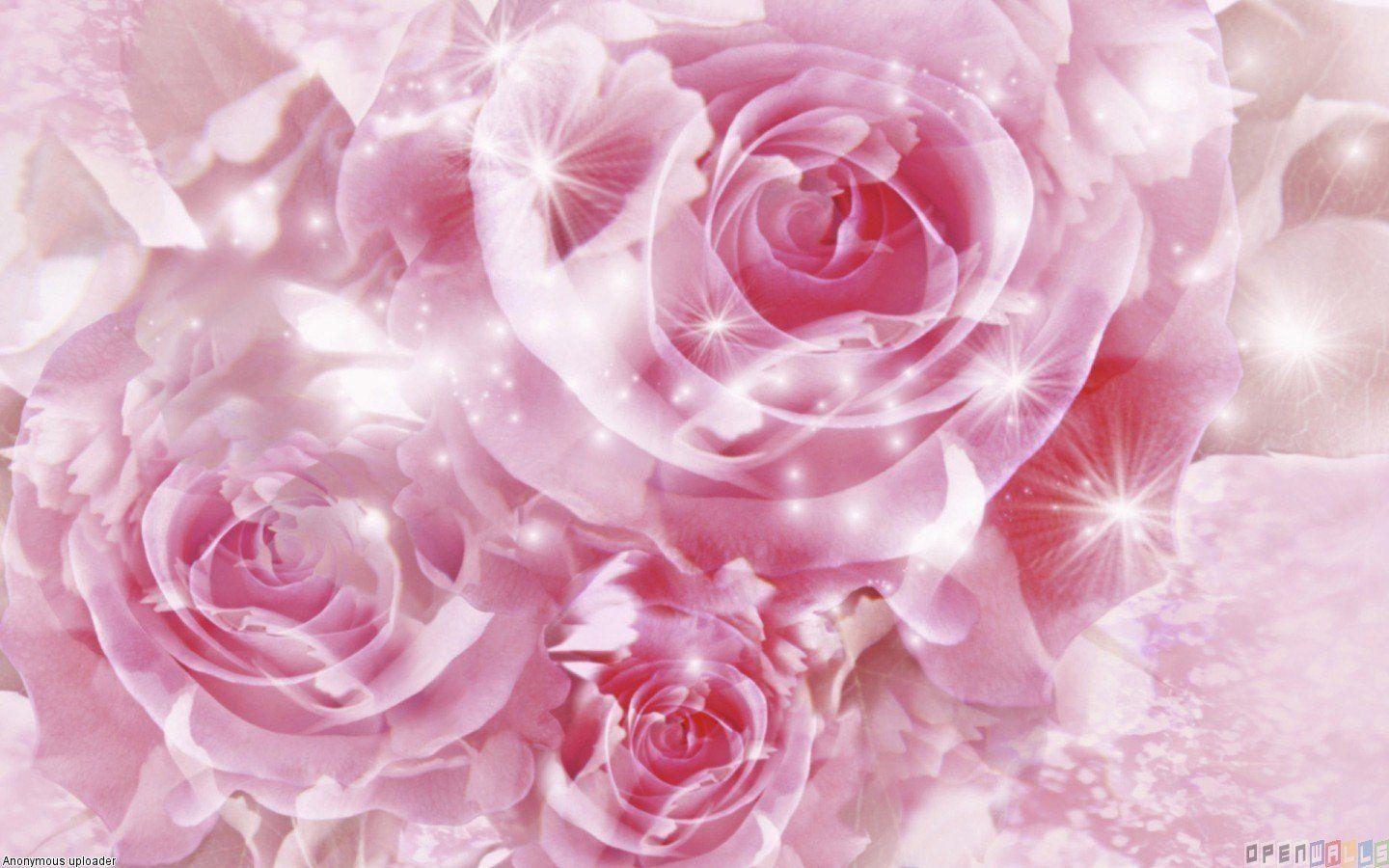 Pink Rose Glitter Wallpapers - Top Free Pink Rose Glitter Backgrounds