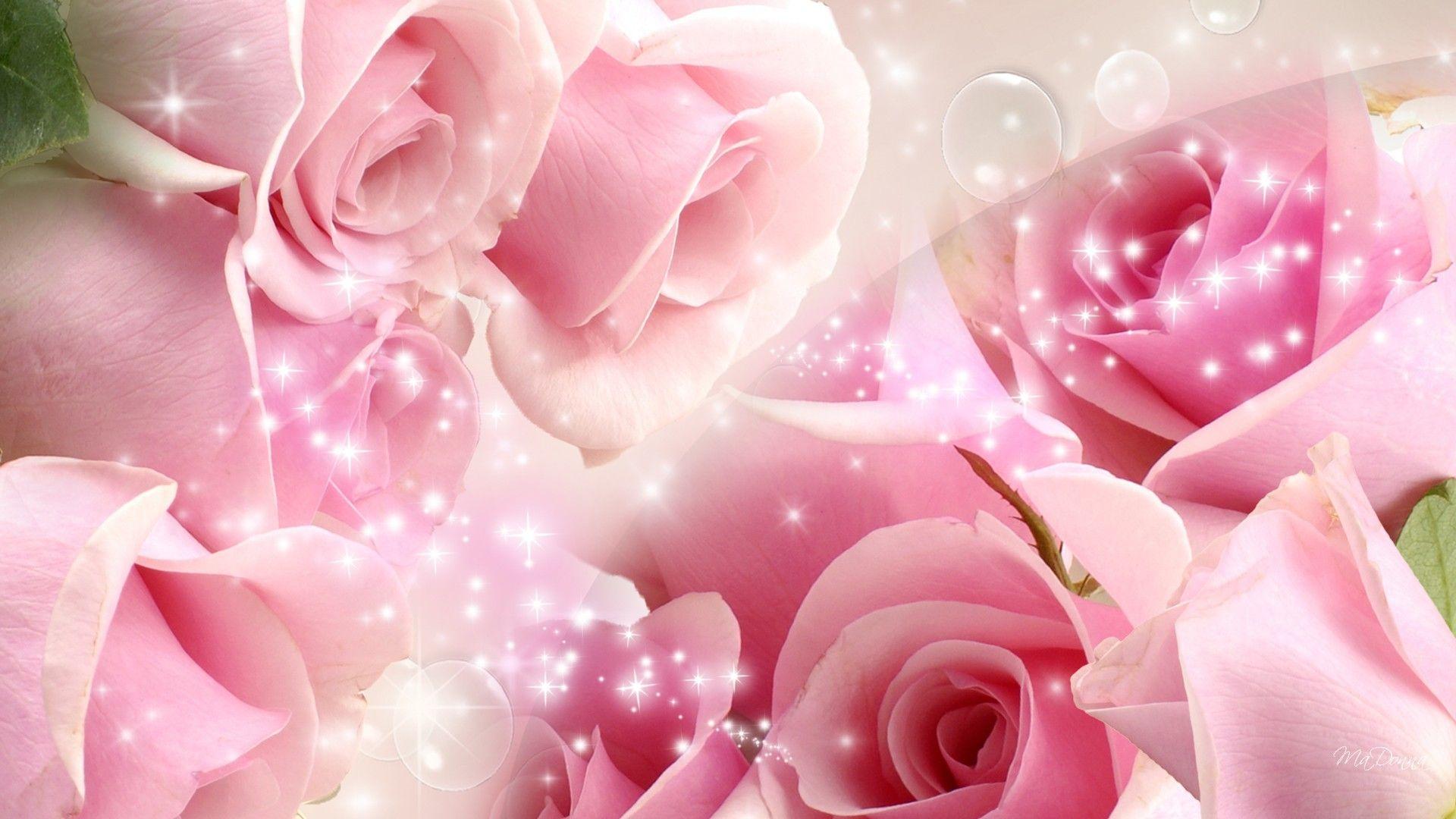 Rose Pink Glitter Background