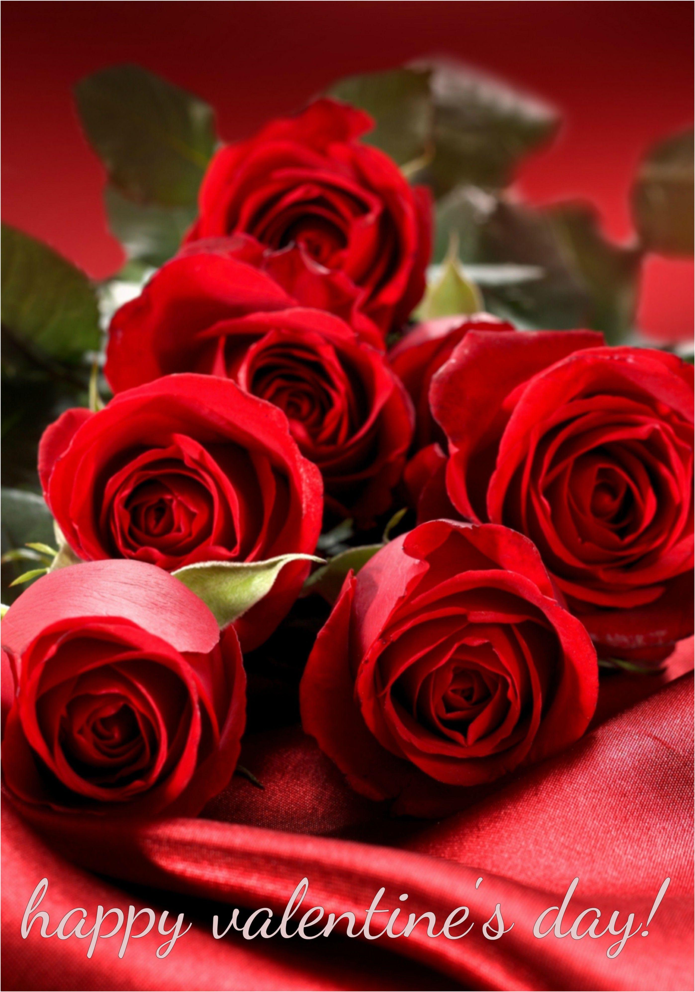 2795x3988 Rose flower wallpaper, Red rose bouquet .com