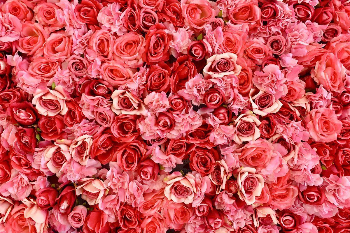 1200x800 How 1 800 Flowers.com Became A .