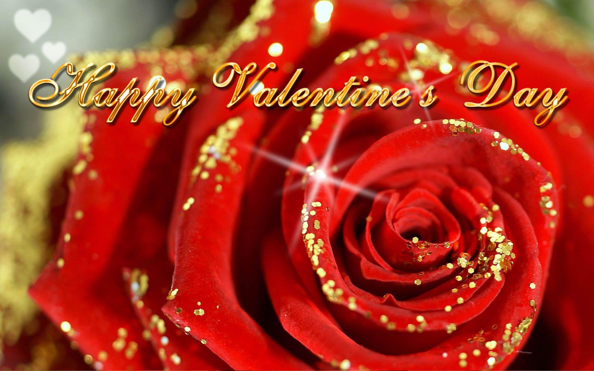1920x1201 Valentine Flower Wallpaper .