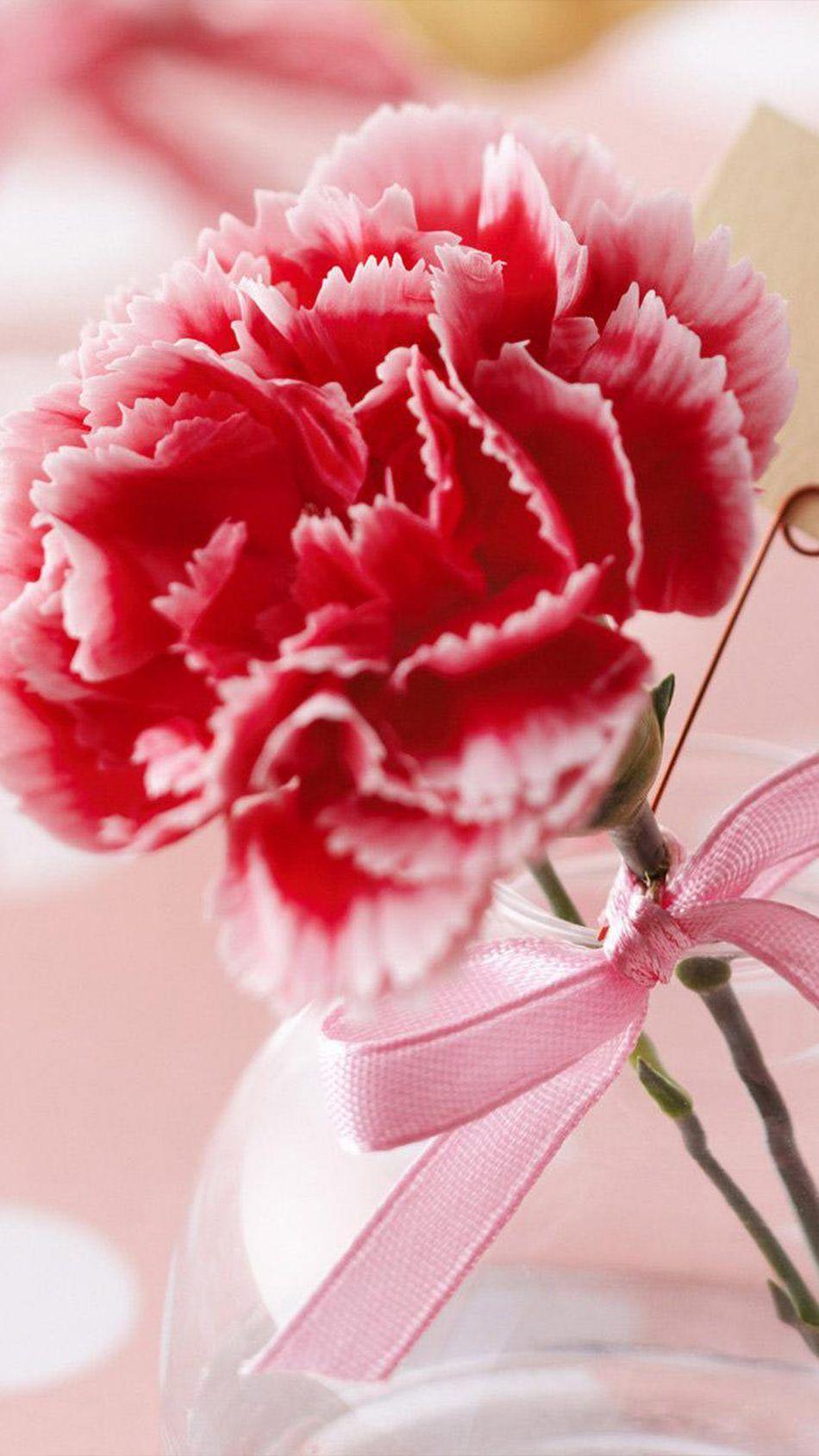 950x1689 Day Flower 4K Ultra HD Mobile