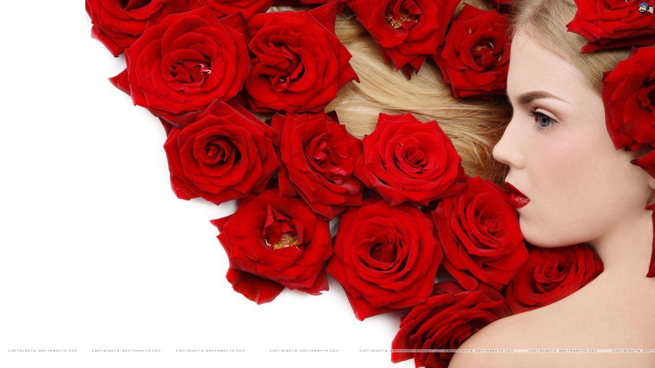 1280x720 Valentines Day Flower Wallpaper HD .valentinedayweek.