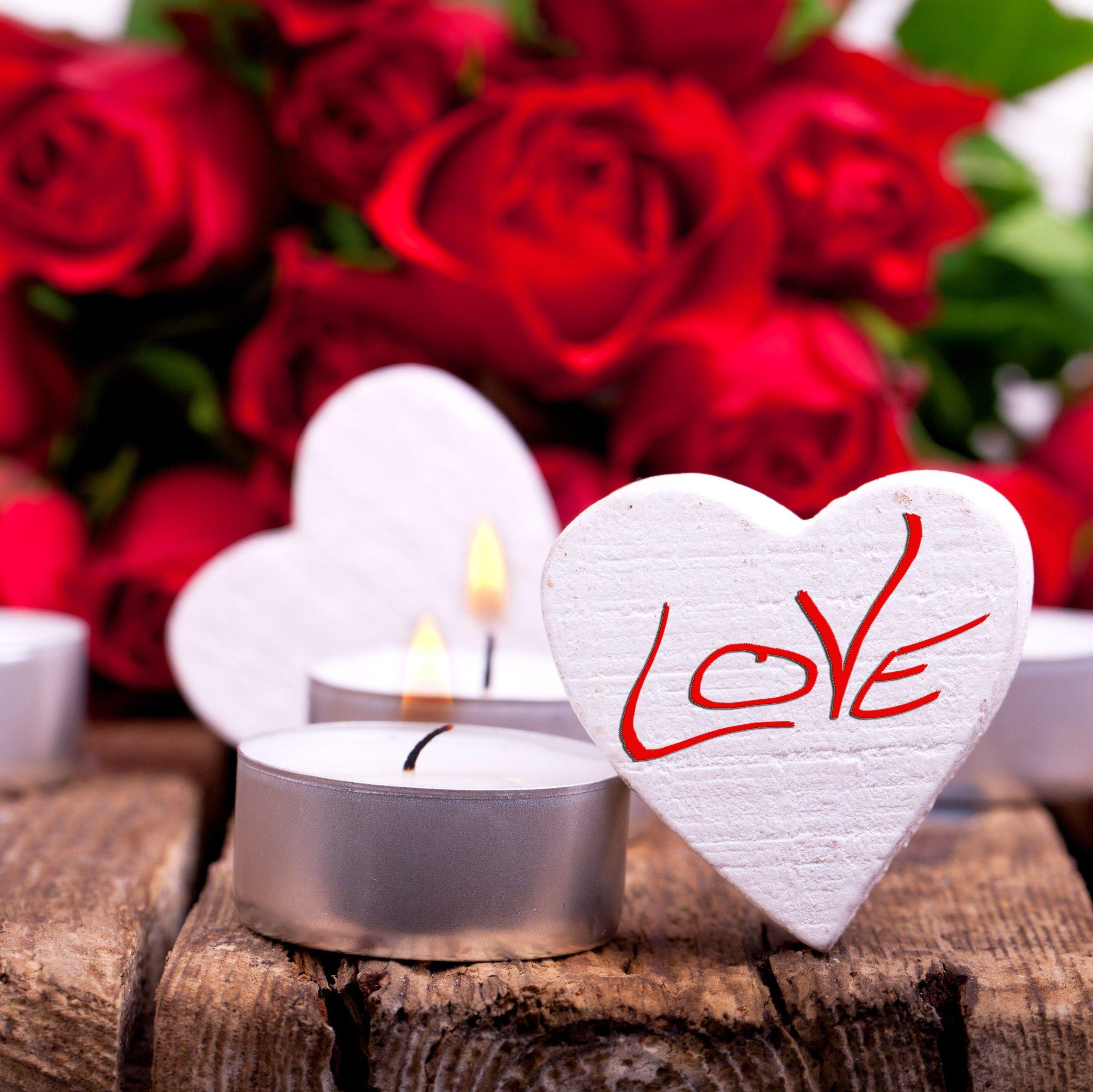 2862x2860 Roses Love Flowers Flower Wallpaper 3D .itl.cat